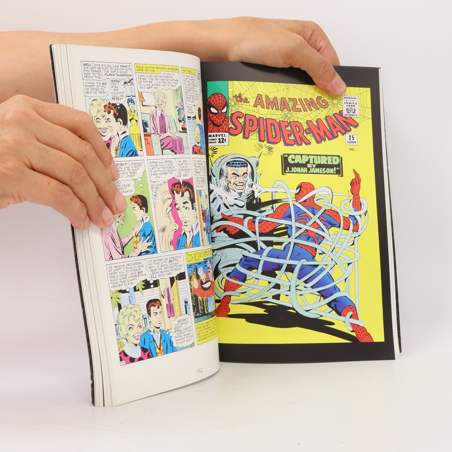 Stan Lee Marvel Masterworks - 3: Amazing Spider-Man