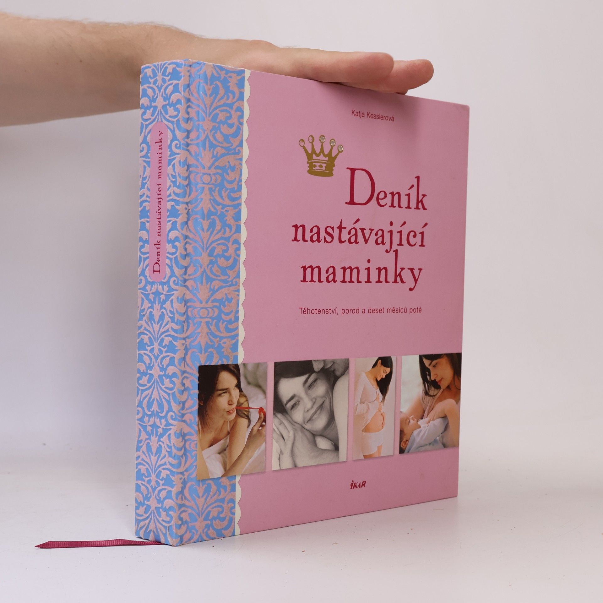 Peter Paech Deník nastávající maminky