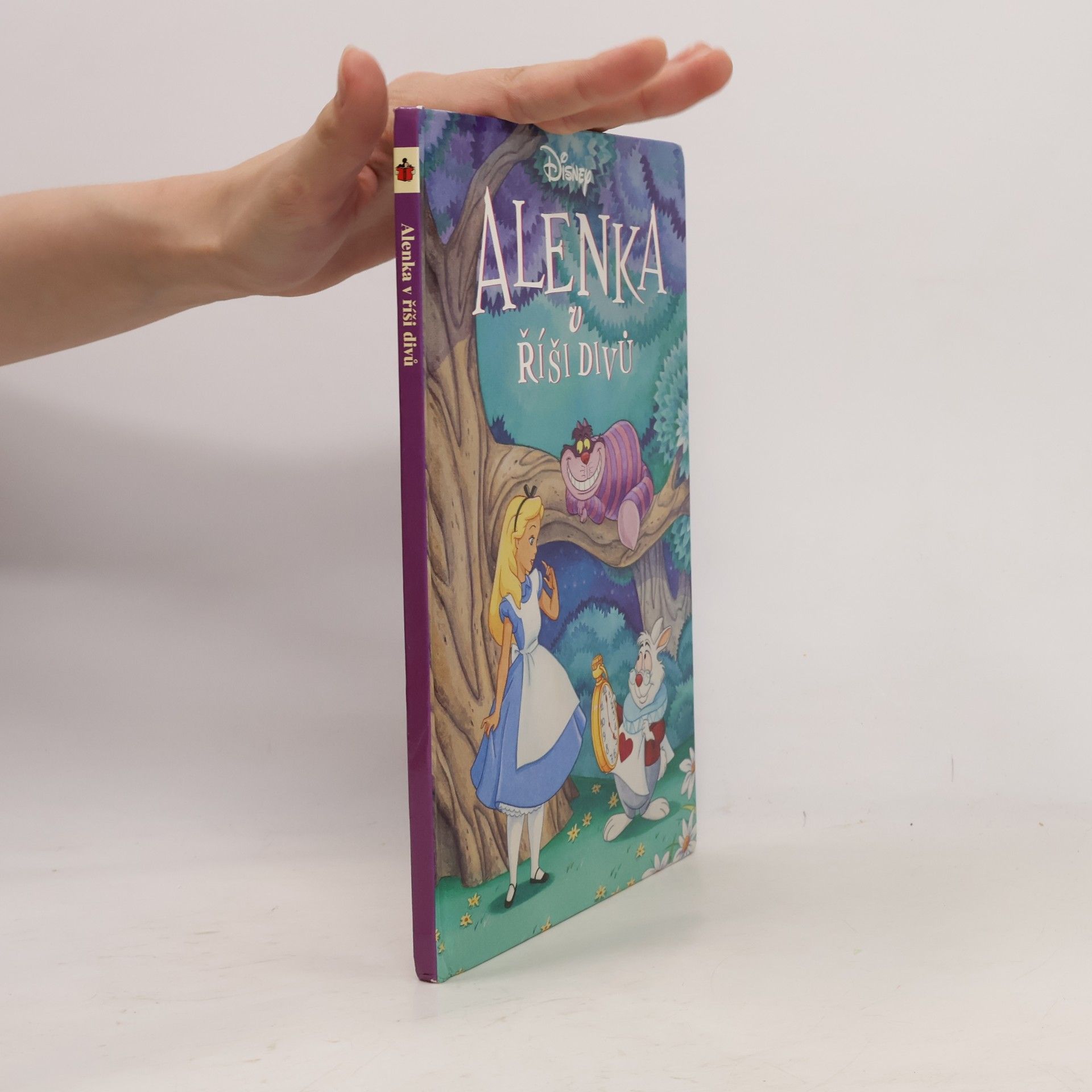 Collectif d'auteurs Alenka v říši divů