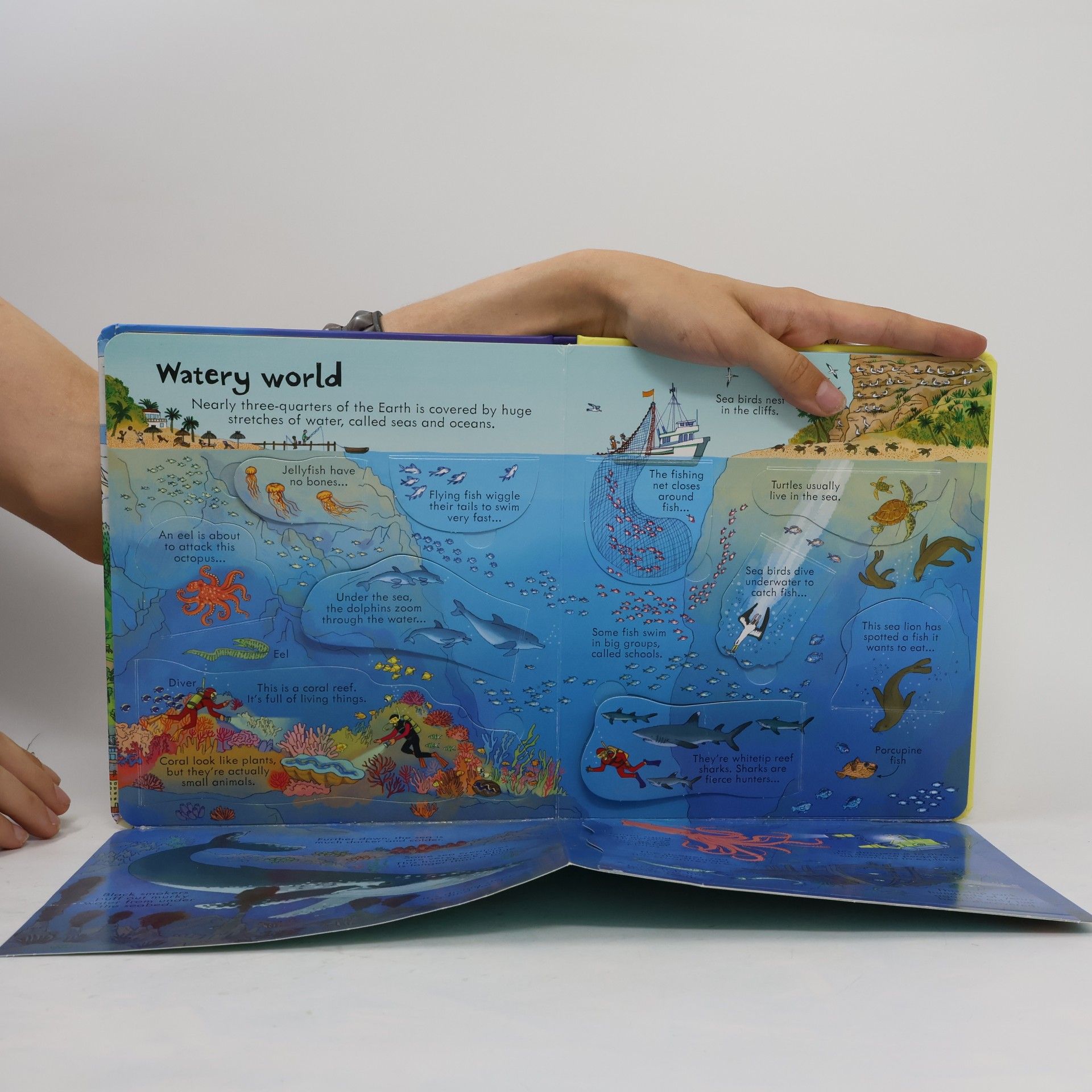 Kolektív autorov Look inside our world