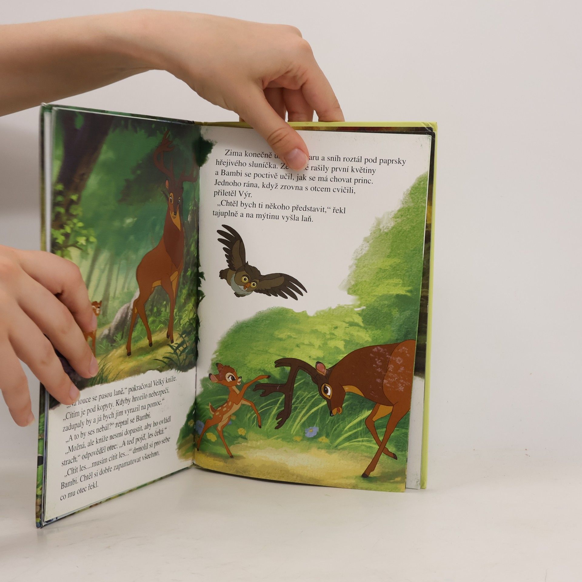 Walt Disney Bambi 2