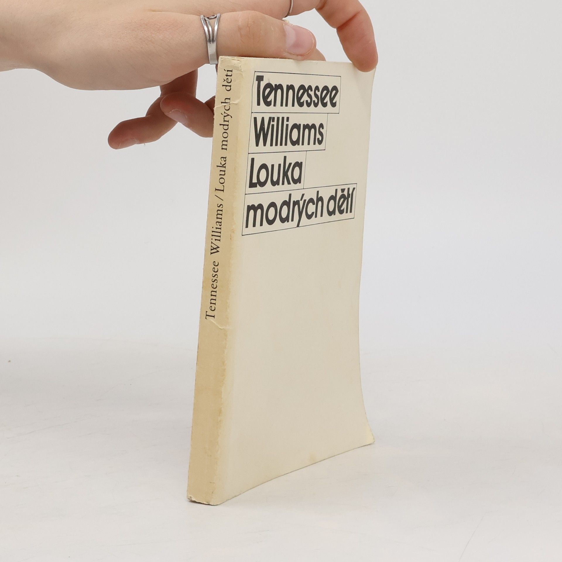 Tennessee Williams Louka modrých dětí