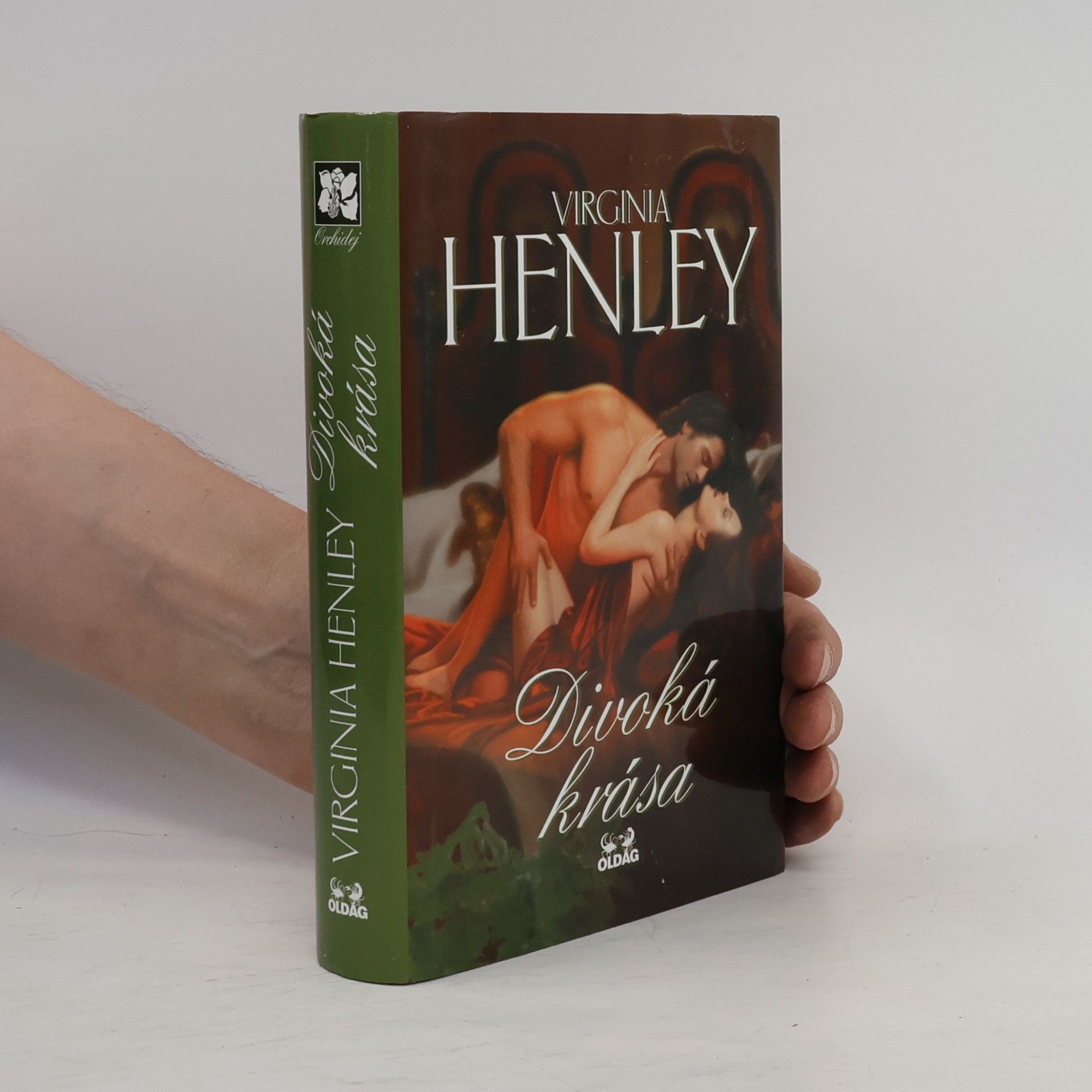 Virginia Henley Divoká krása