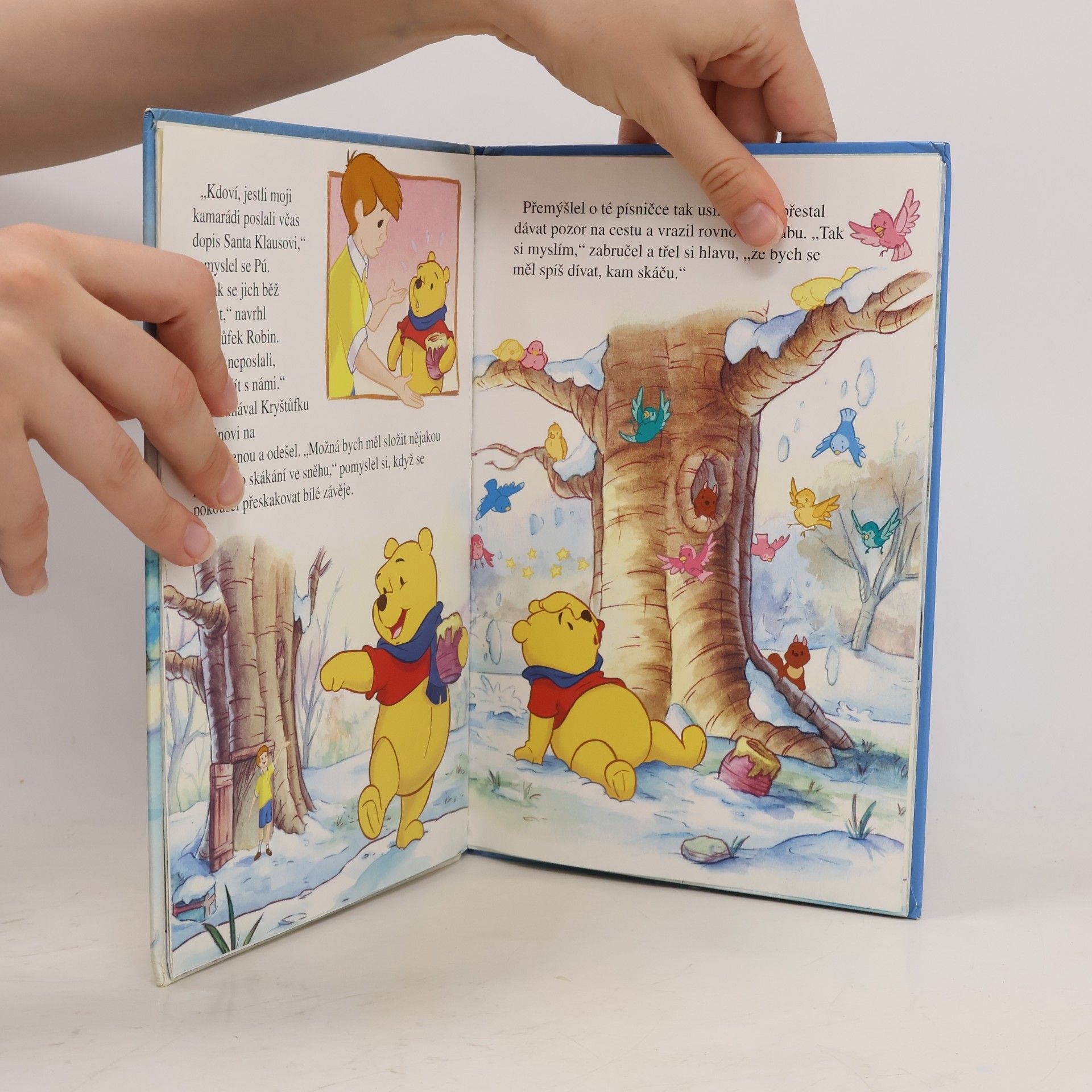 Walt Disney Medvídek Pú-vzpomínka na vánoční expedici
