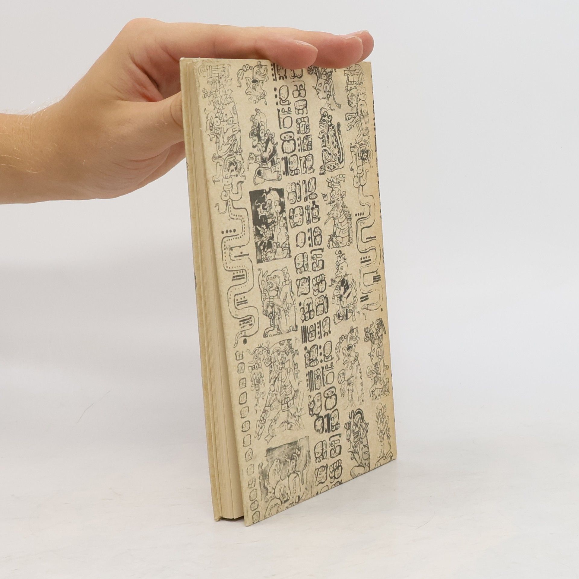 Autorenkollektiv Schrift und Buchmalerei der Maya-Indianer