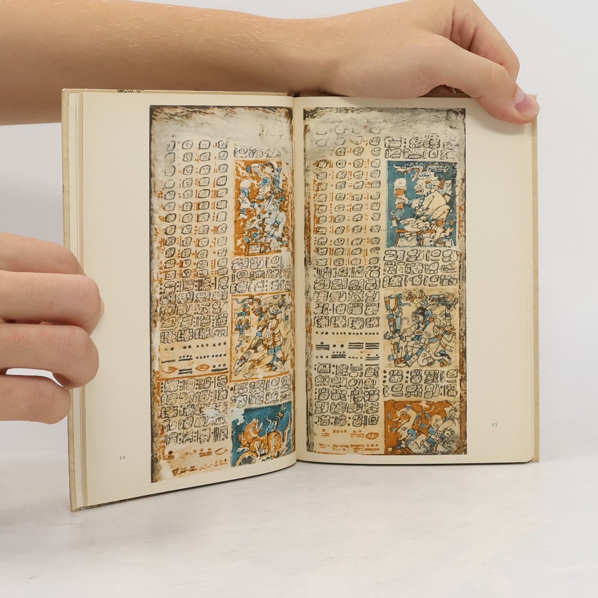 Autorenkollektiv Schrift und Buchmalerei der Maya-Indianer