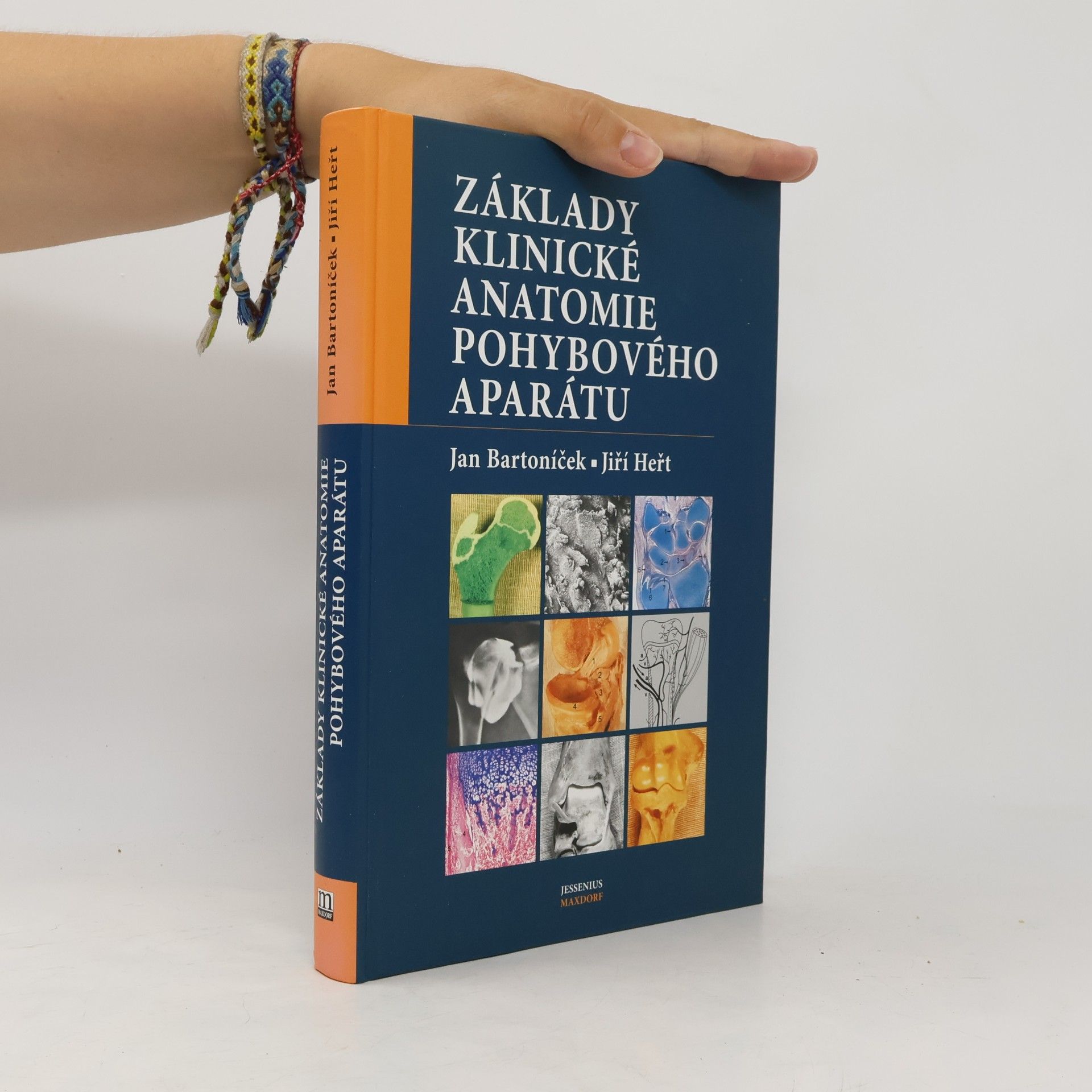 Základy klinické anatomie pohybového aparátu
