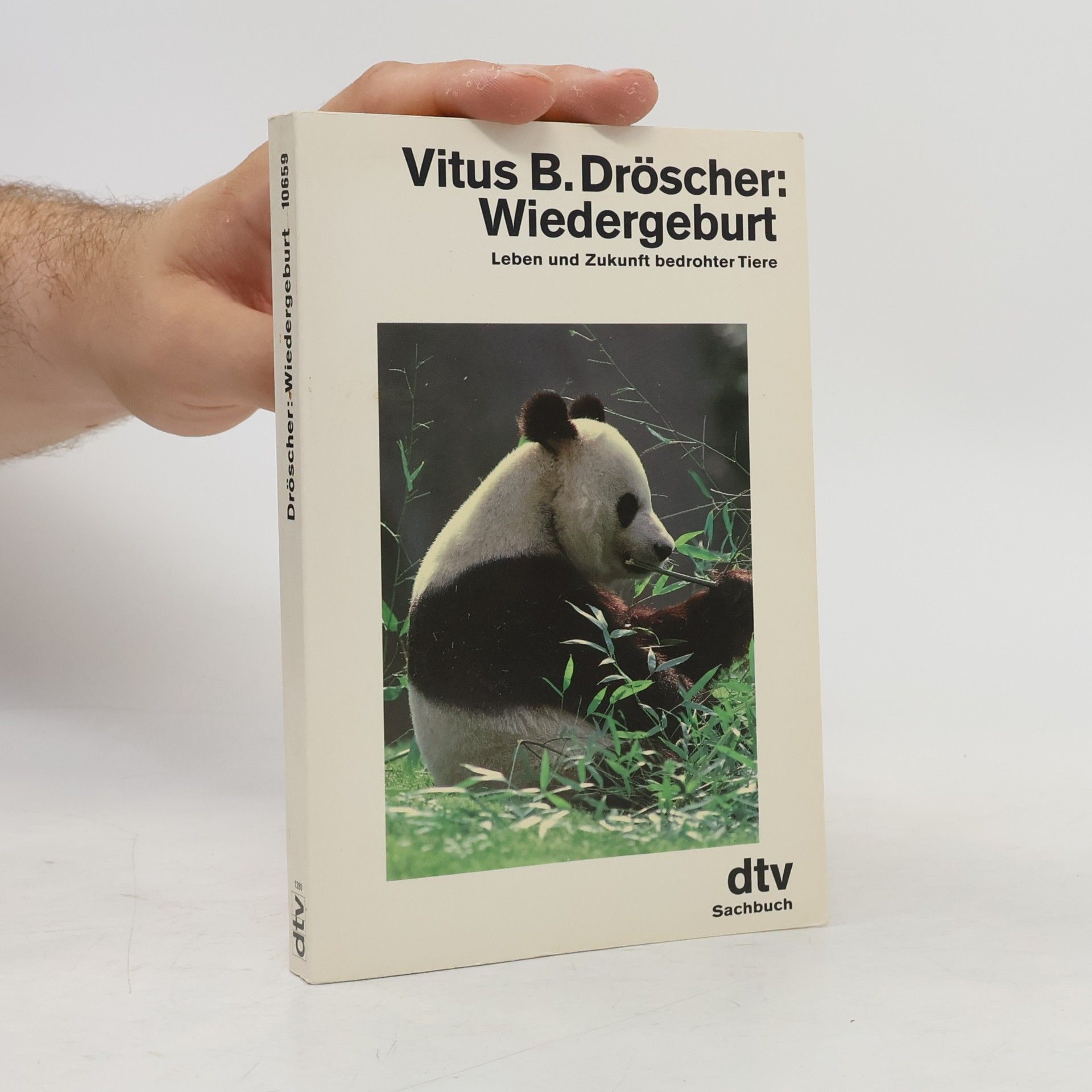 Wiedergeburt