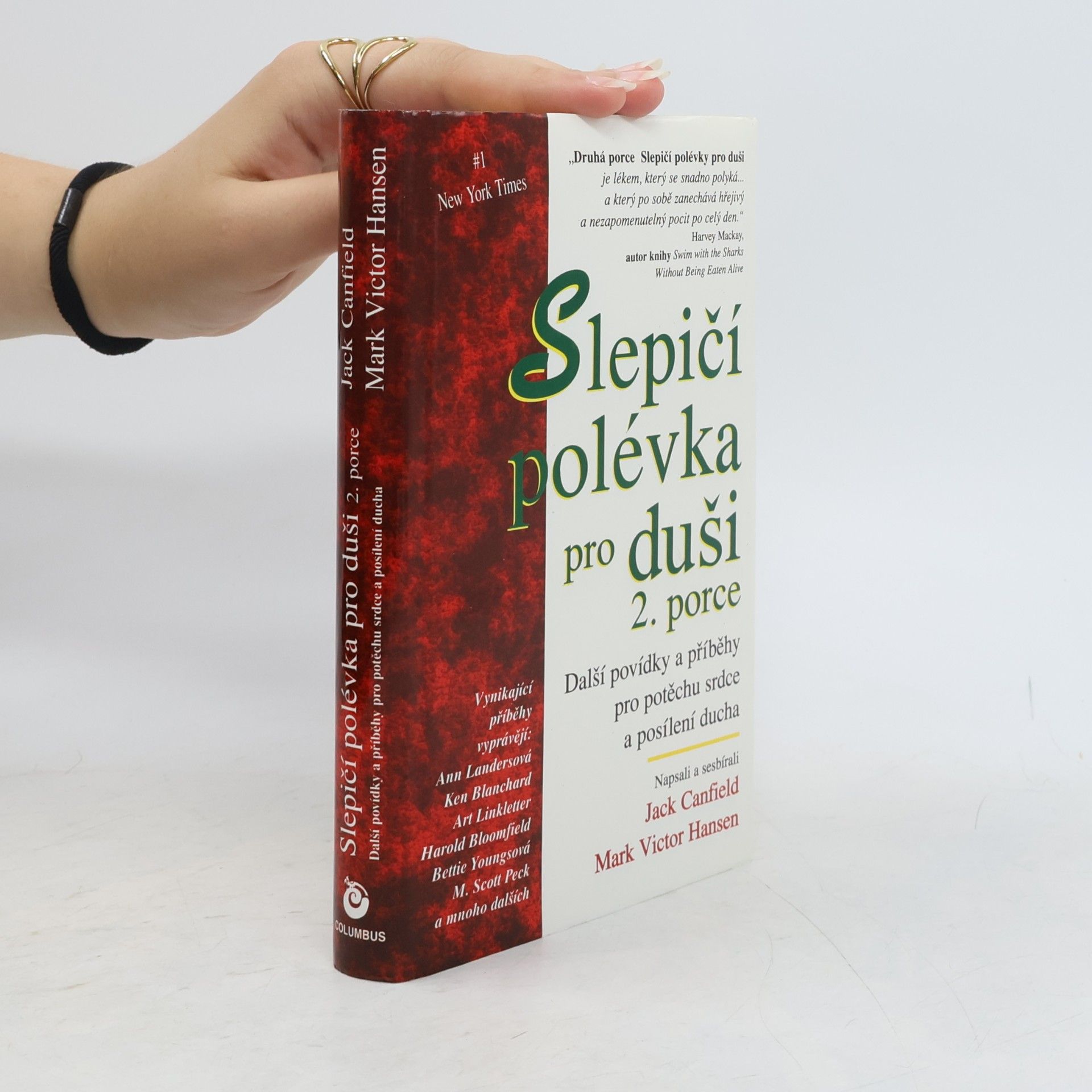 Slepičí polévka pro duši 2. porce