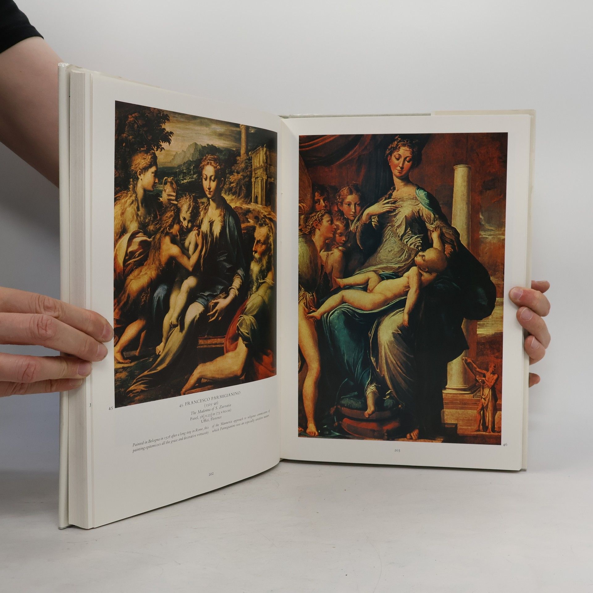 Bernard Denvir Art Treasures of Italy