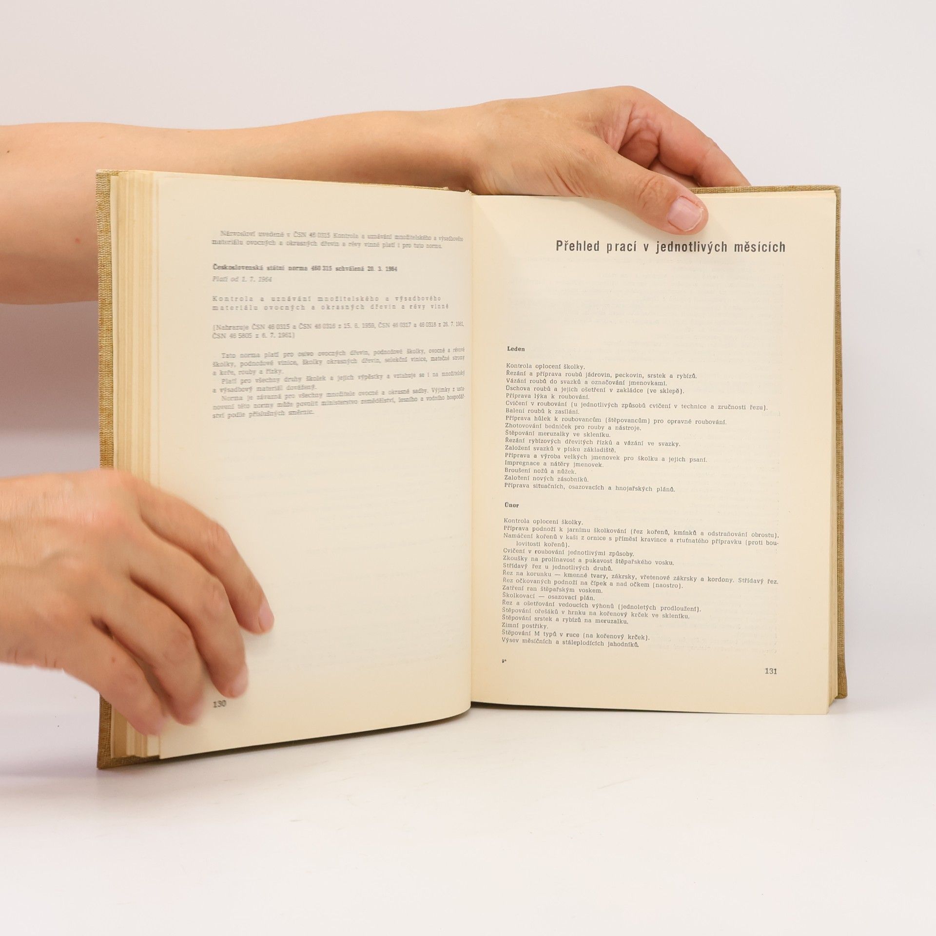 Autorenkollektiv Praktické ovocnictví