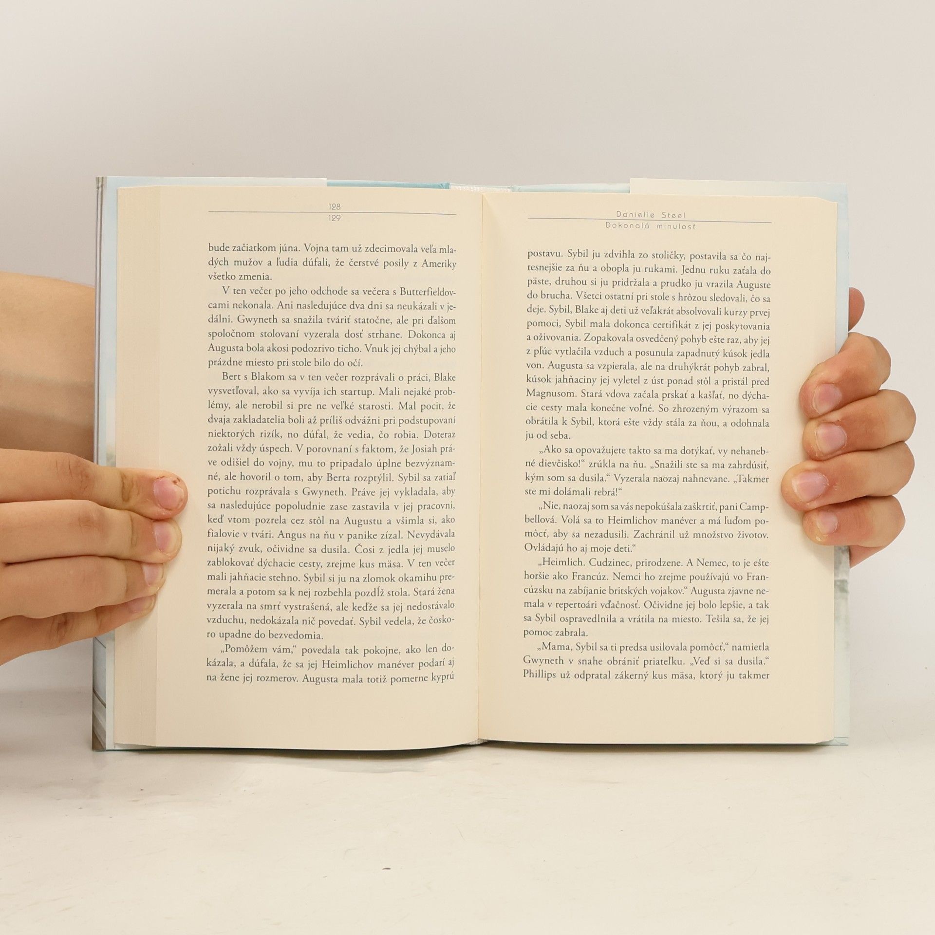 Danielle Steel Dokonalá minulosť