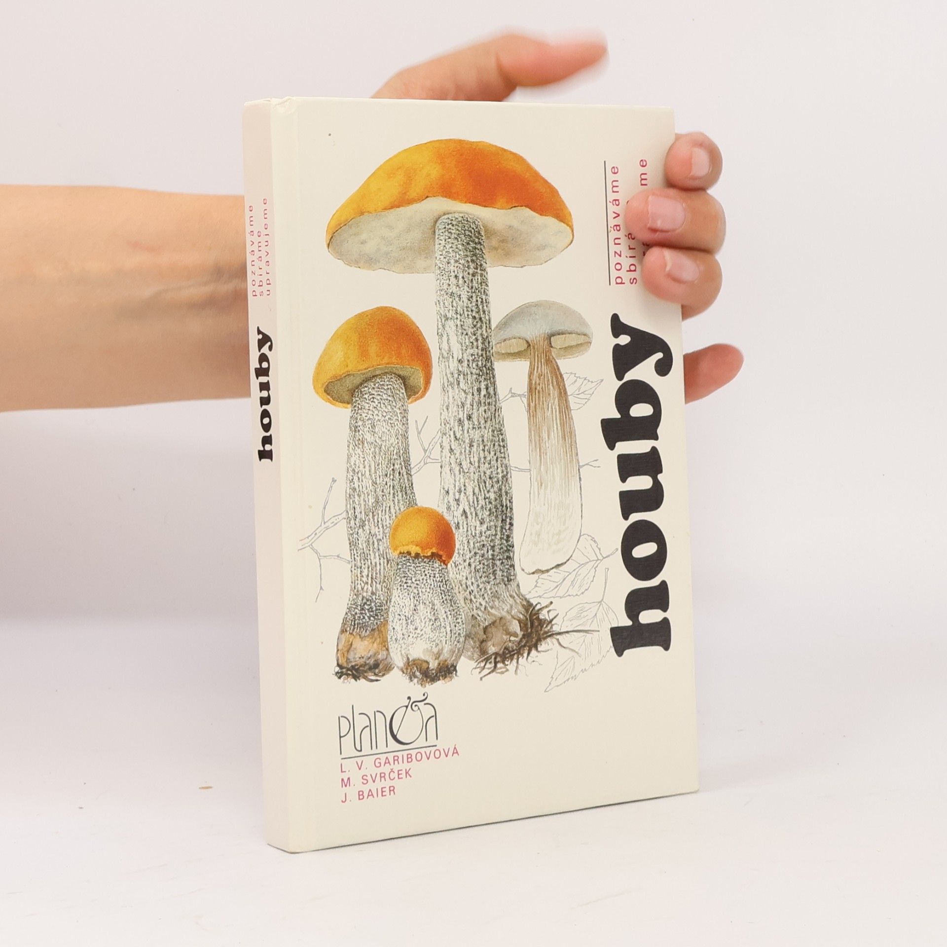Houby