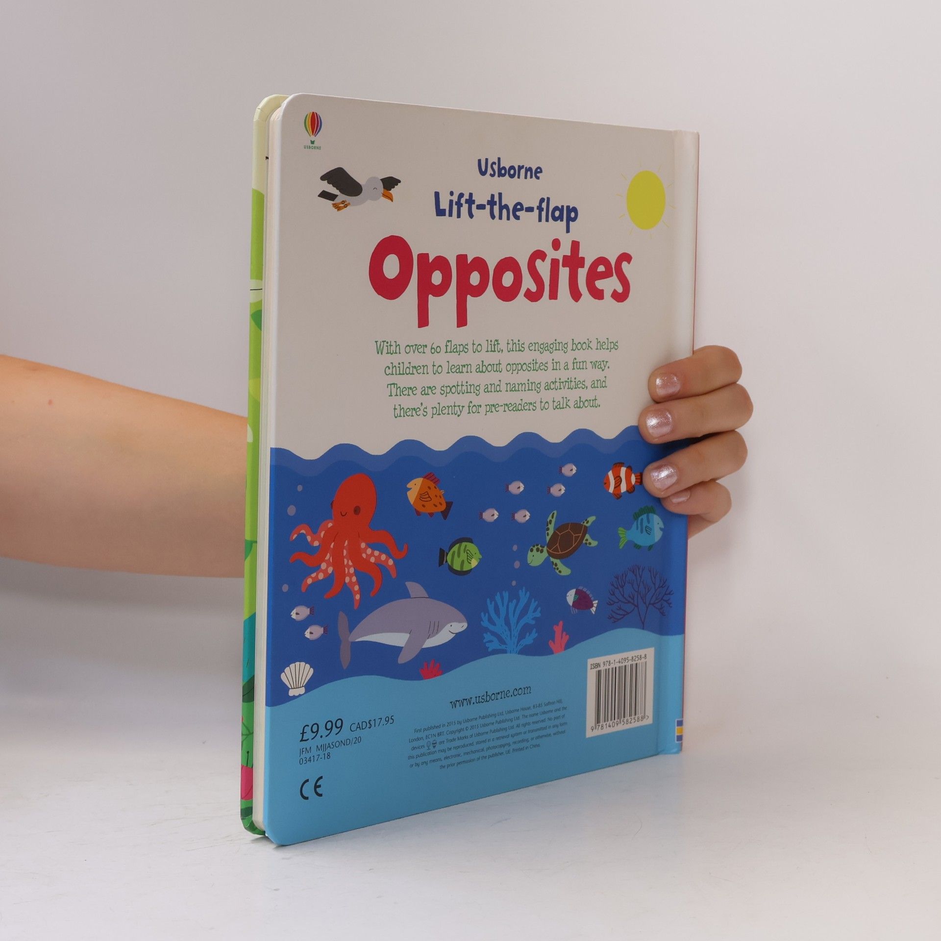 Felicity Brooks Opposites