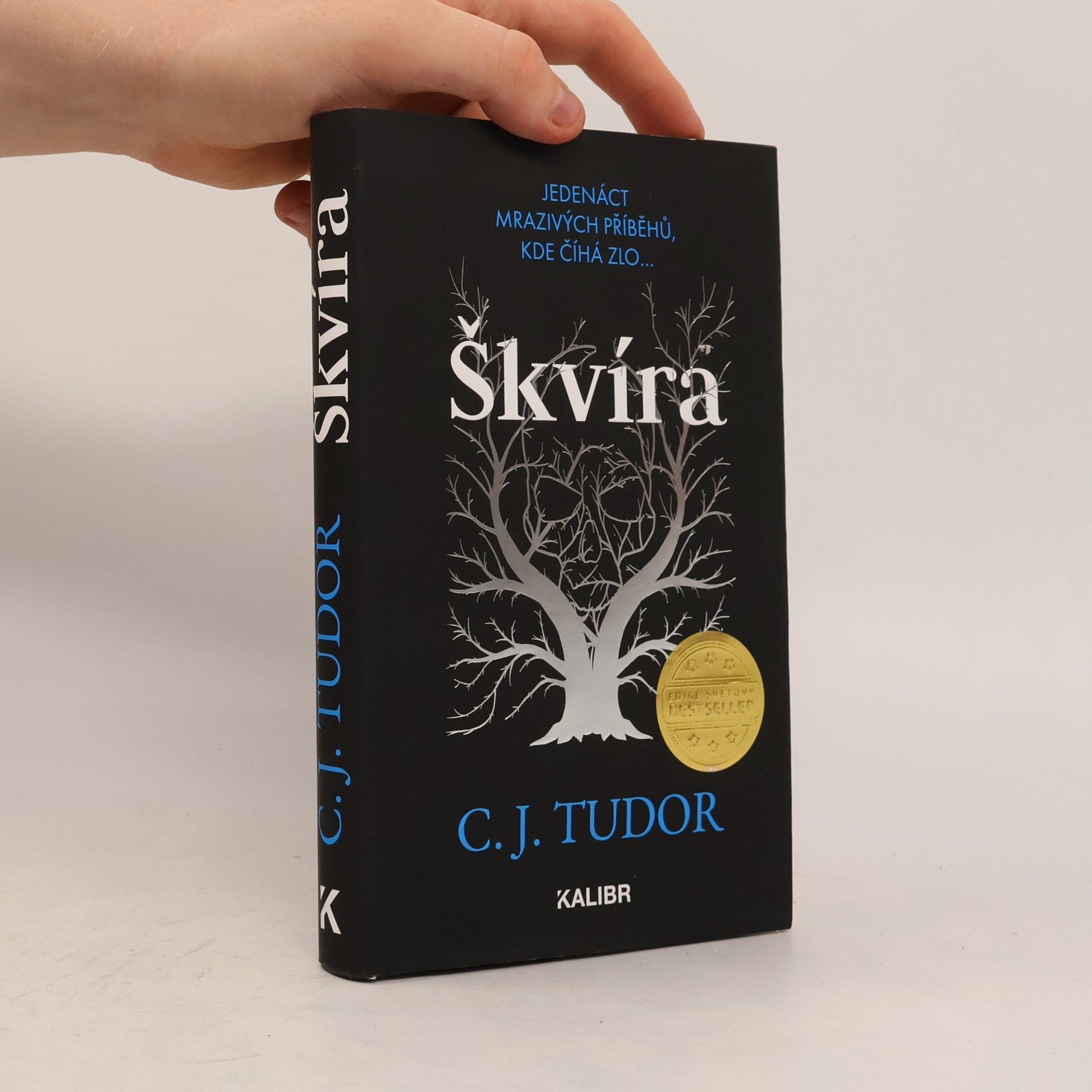 Škvíra
