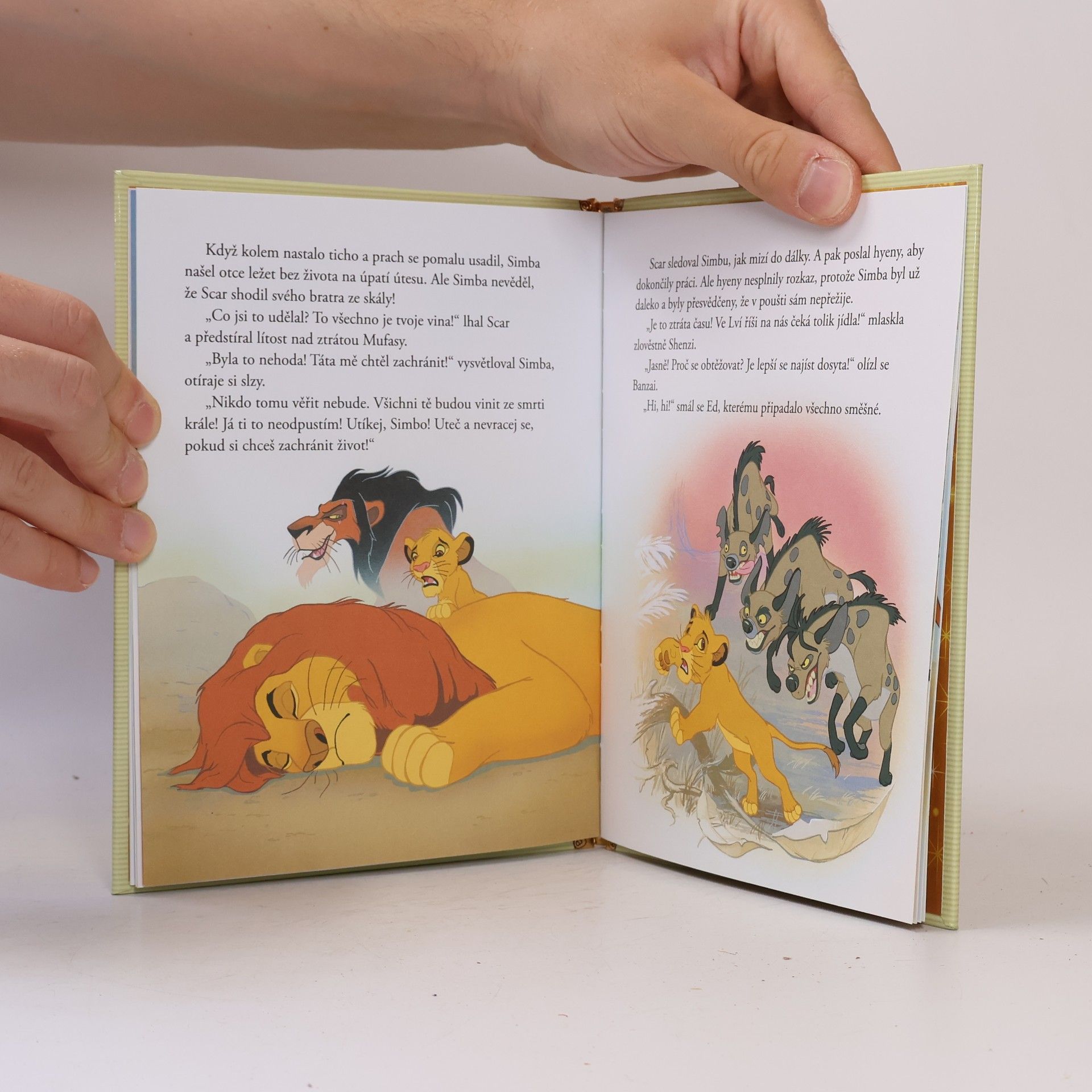 Collectif d'auteurs Zlatá sbírka pohádek 1. Lví král