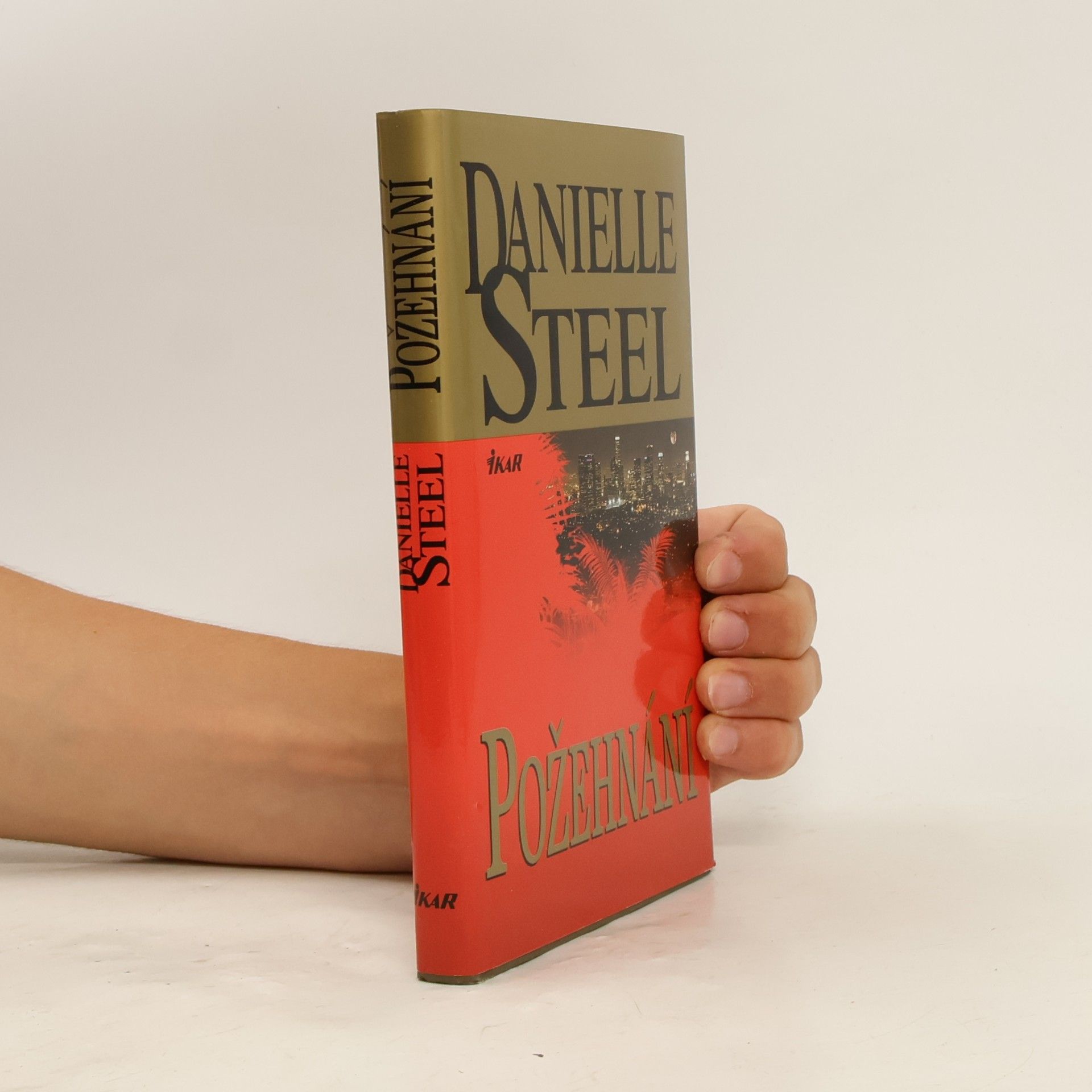 Danielle Steel Požehnání