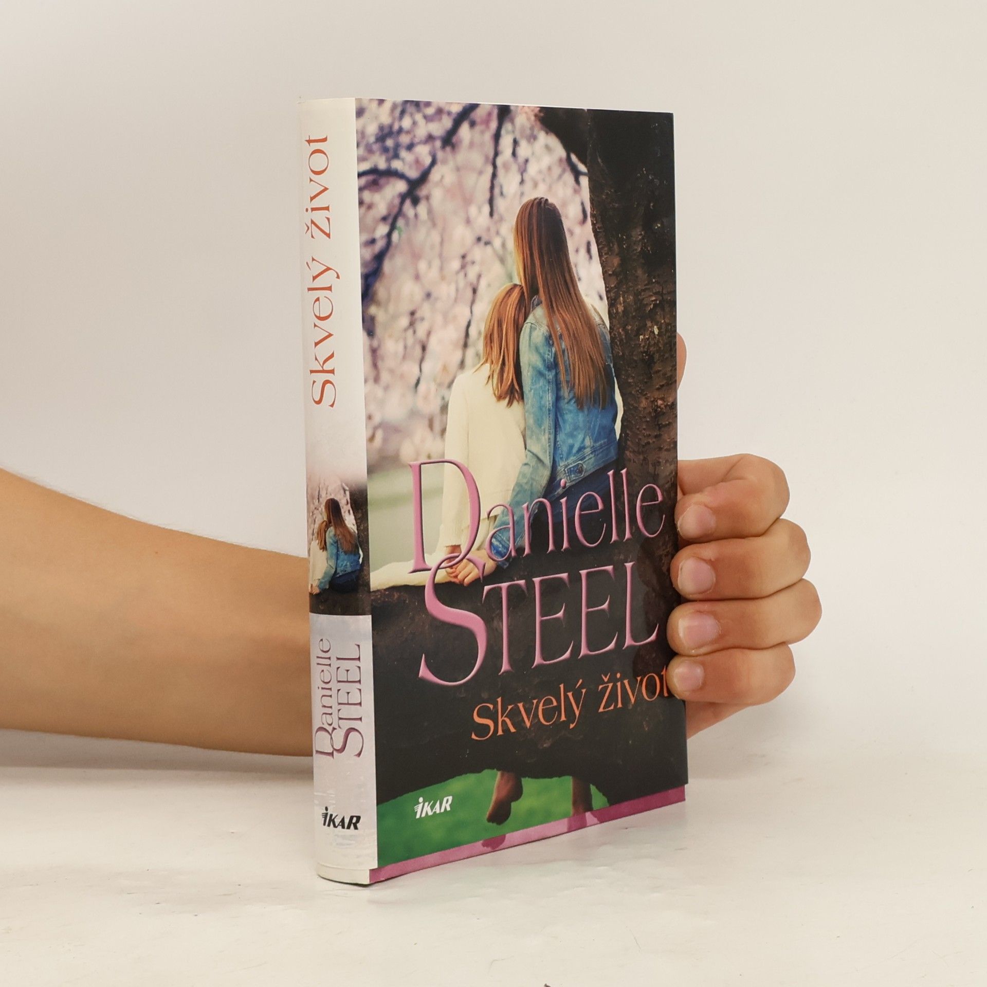Danielle Steel Skvelý život