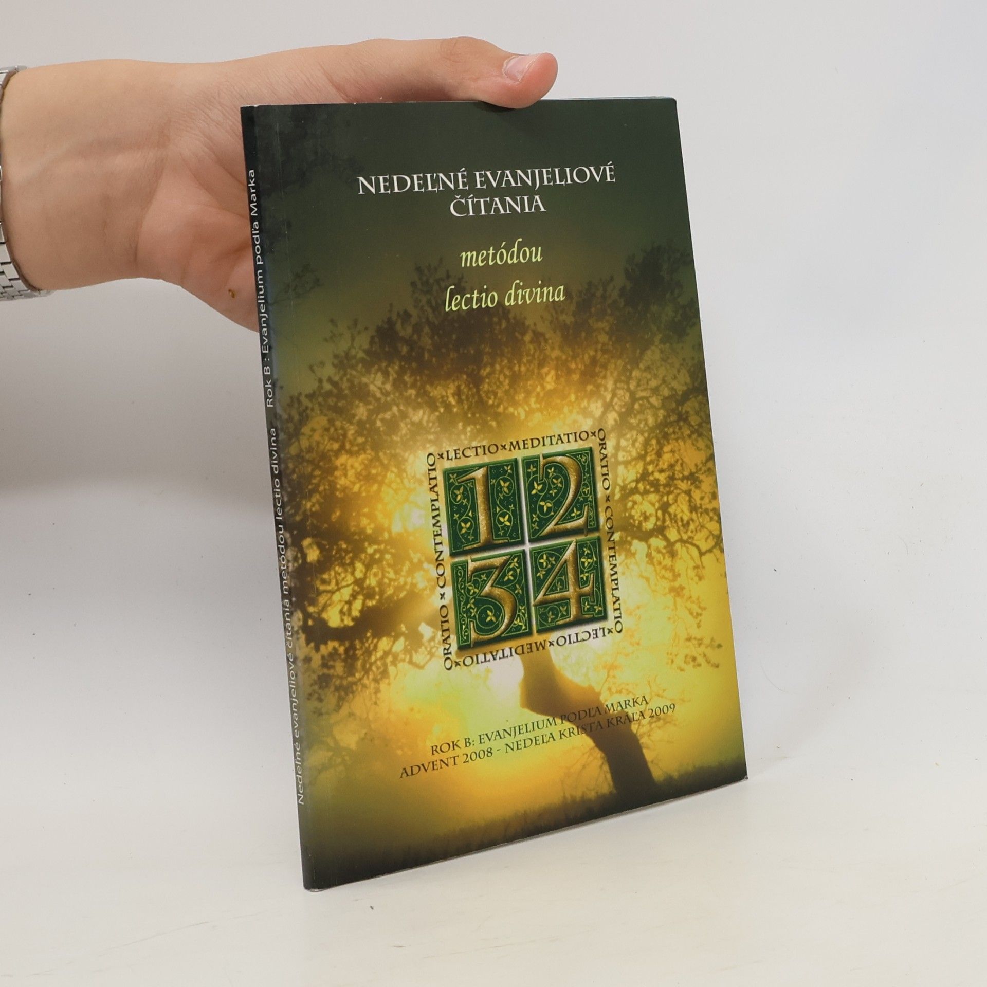 Kolektiv autorů Nedeľné evanjeliové čítania metódou lectio divina. Rok B