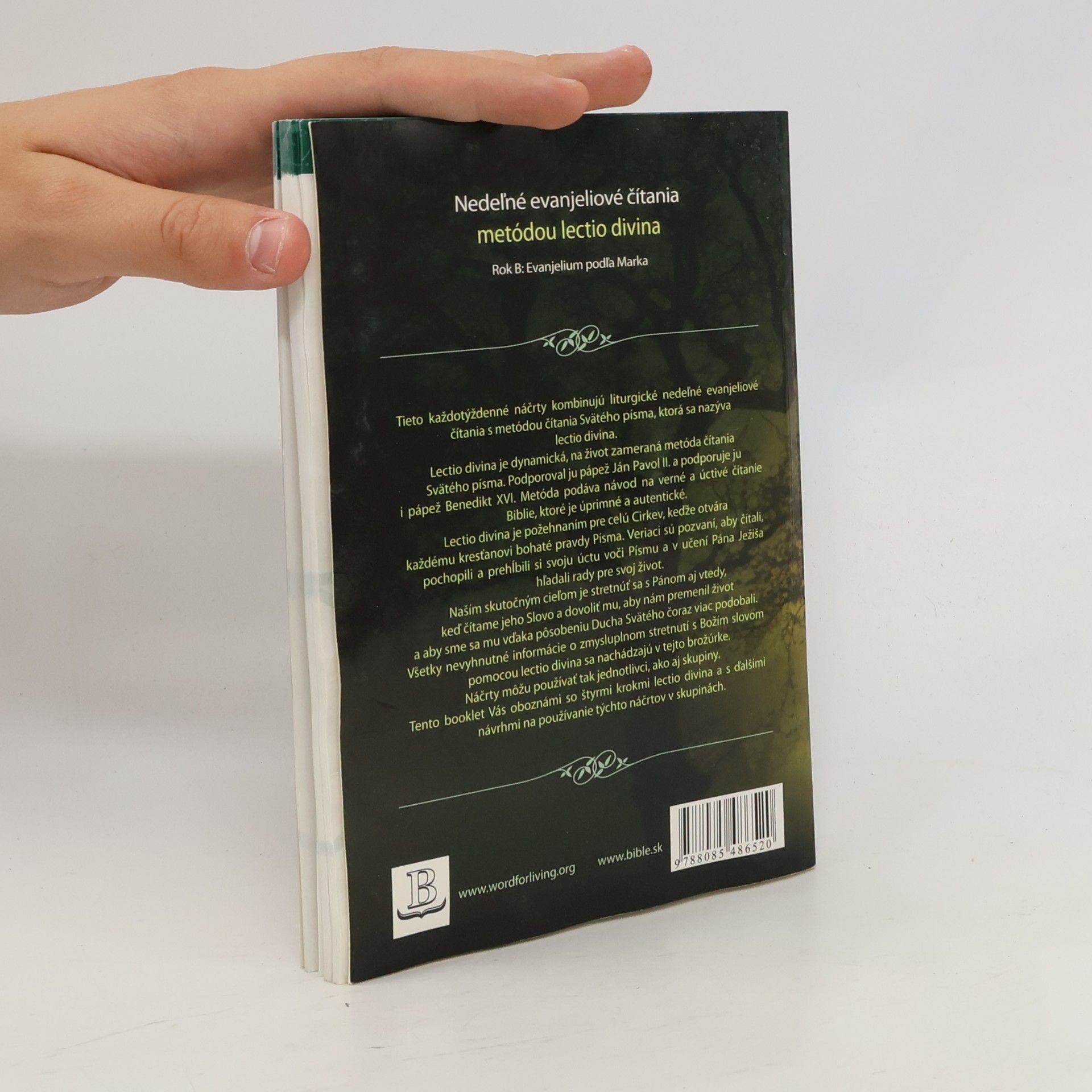 Kolektiv autorů Nedeľné evanjeliové čítania metódou lectio divina. Rok B