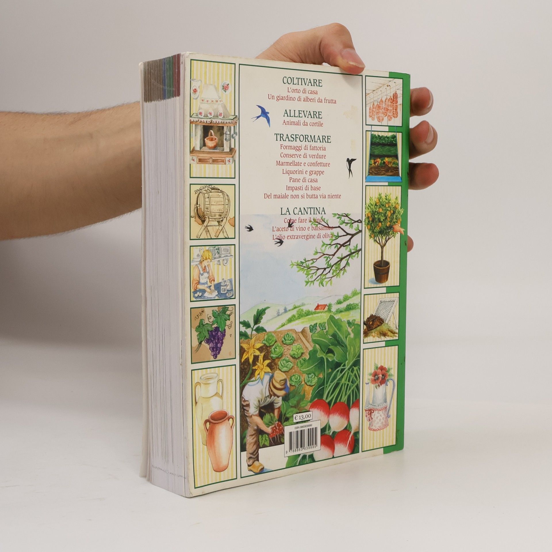 Libri del lunario: Vivere e lavorare in campagna. Orto frutteto dispensa cantina