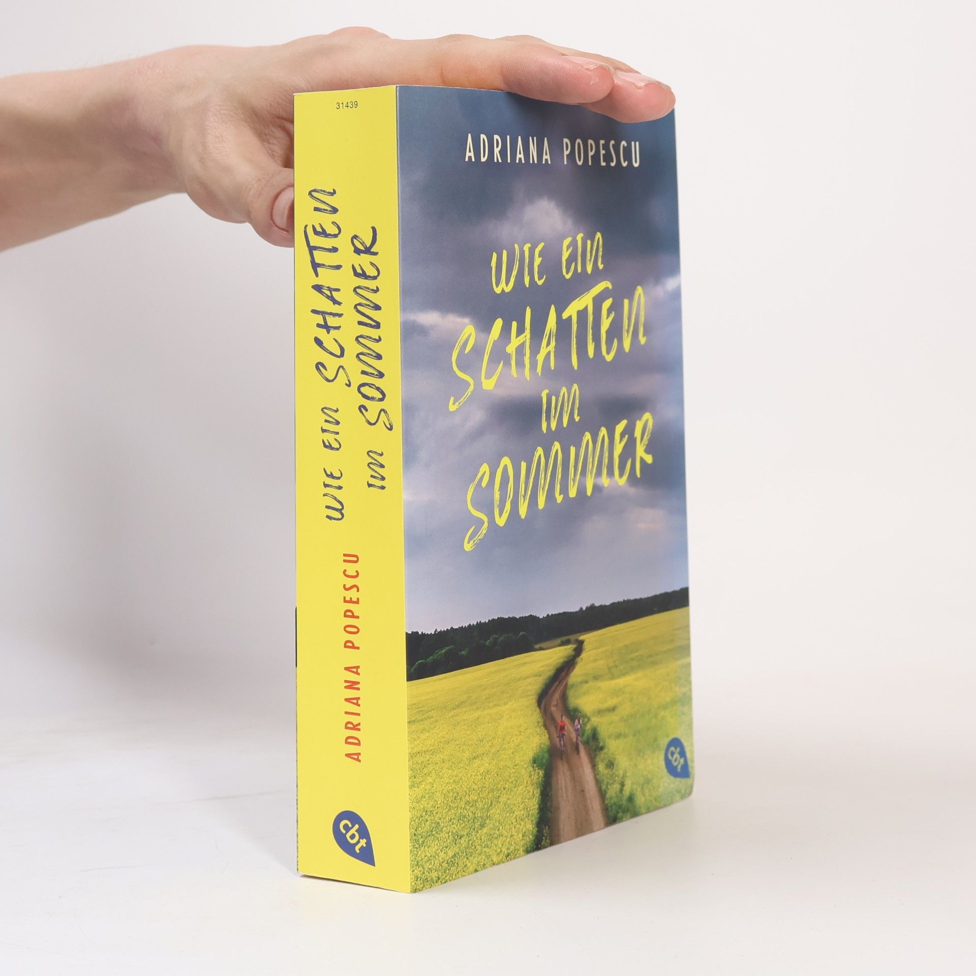 Adriana Popescu Wie ein Schatten im Sommer