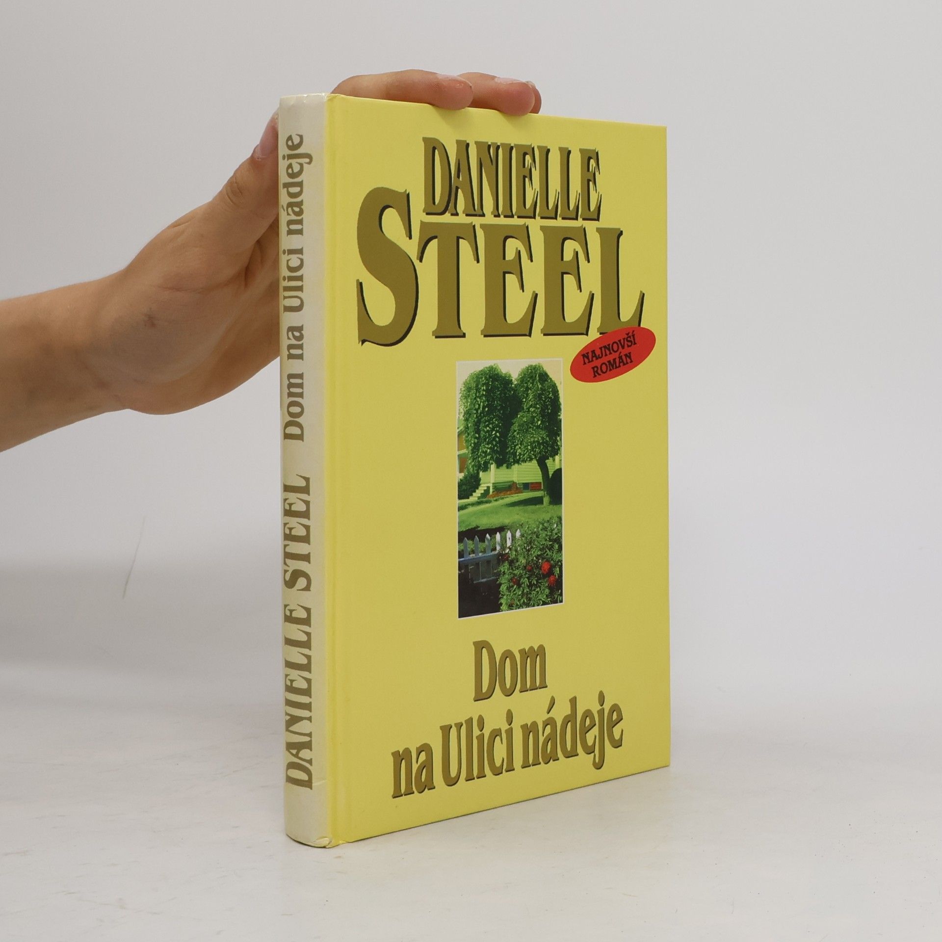 Danielle Steel Dom na Ulici nádeje