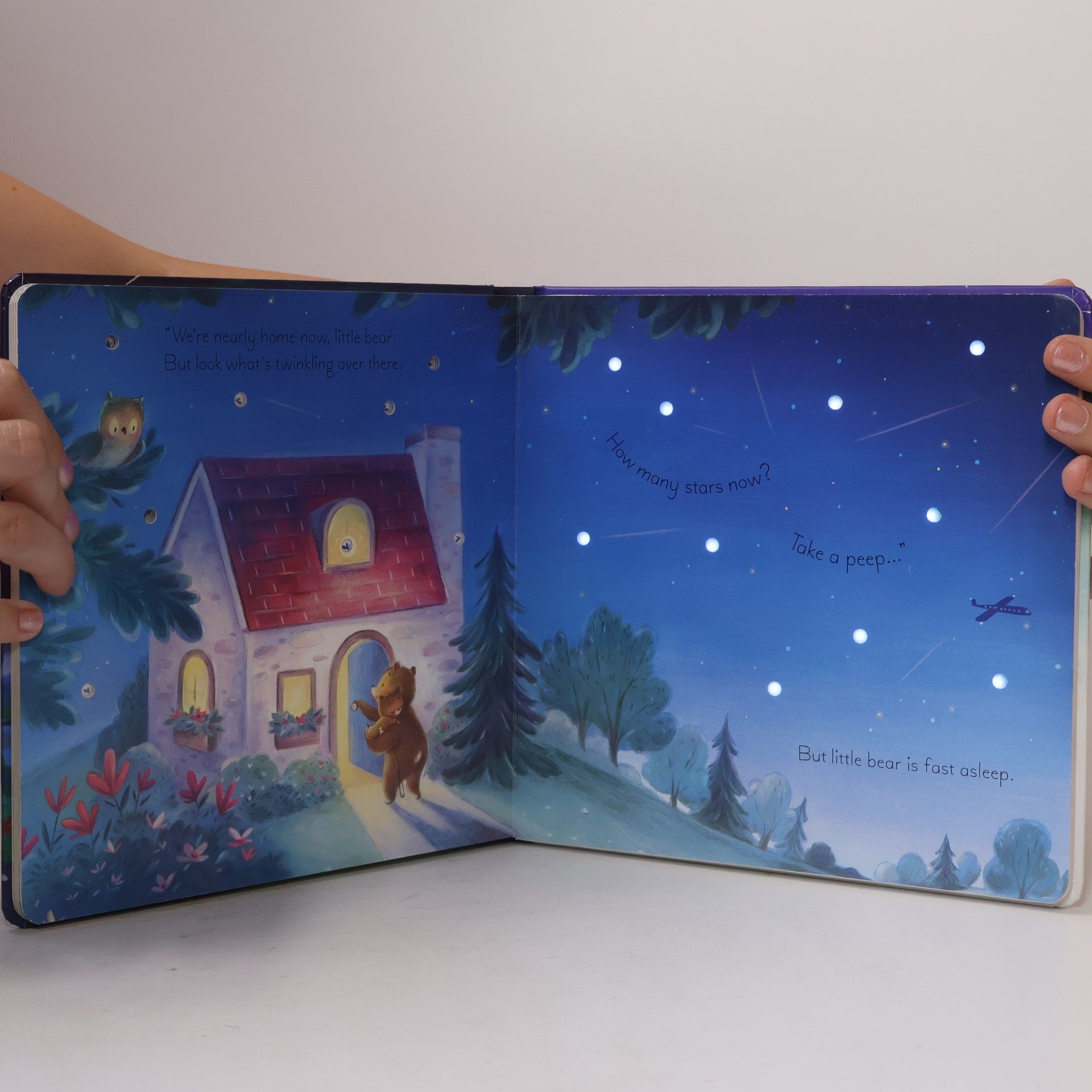 Sam Taplin The Twinkly, Twinkly Bedtime Book