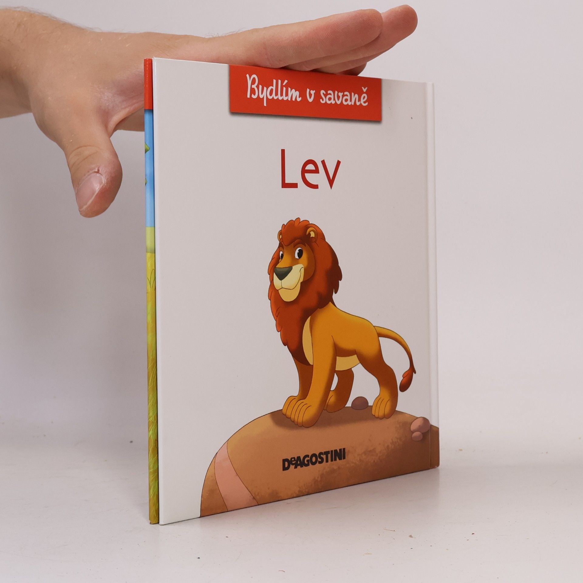 Autorenkollektiv Bydlím v savaně 1. Lev