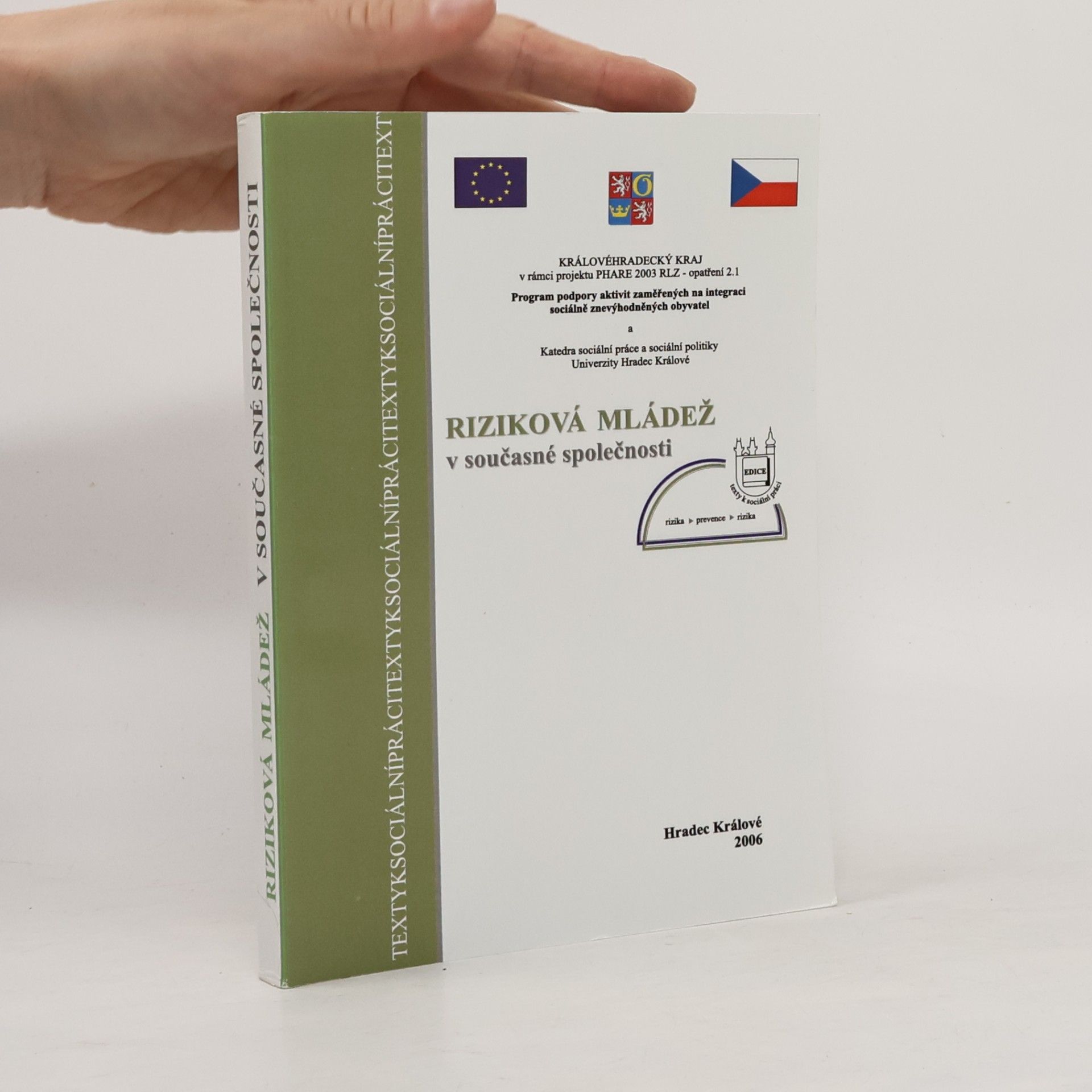 Riziková mládež v současné společnosti