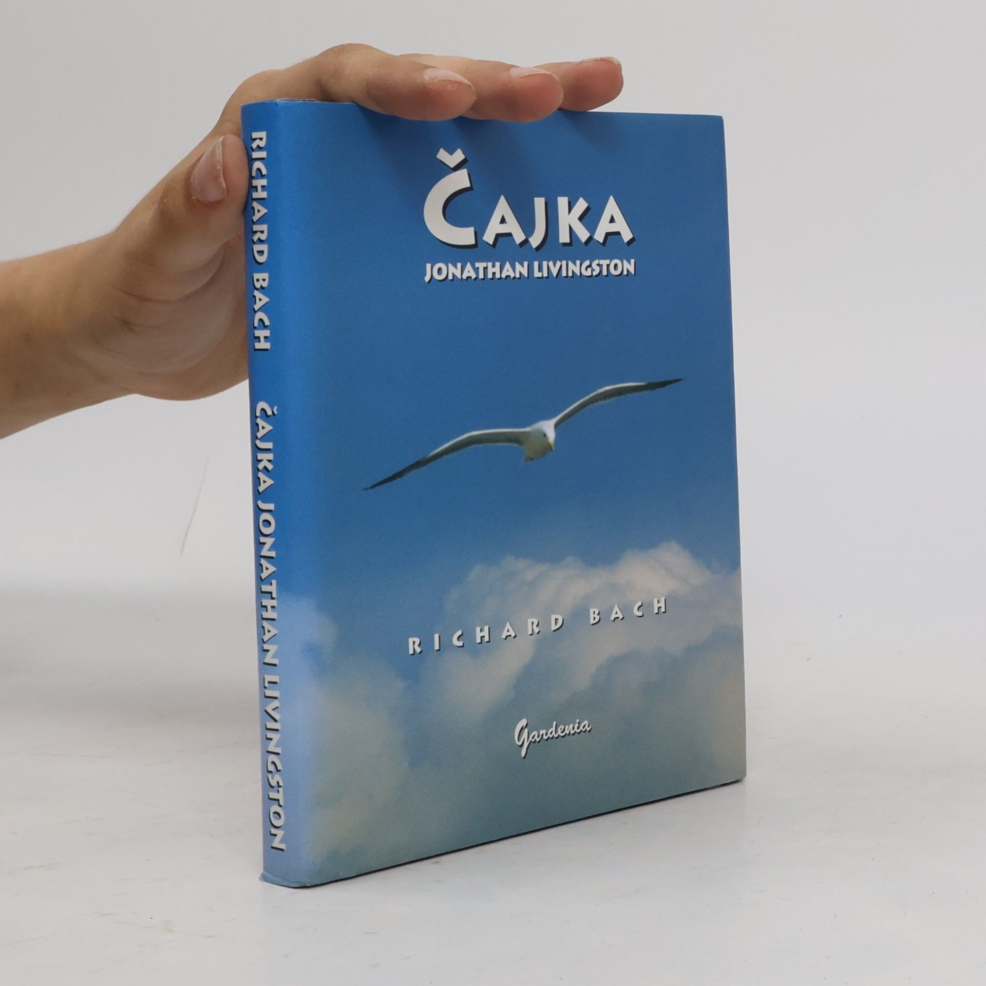 Čajka Jonathan Livingston