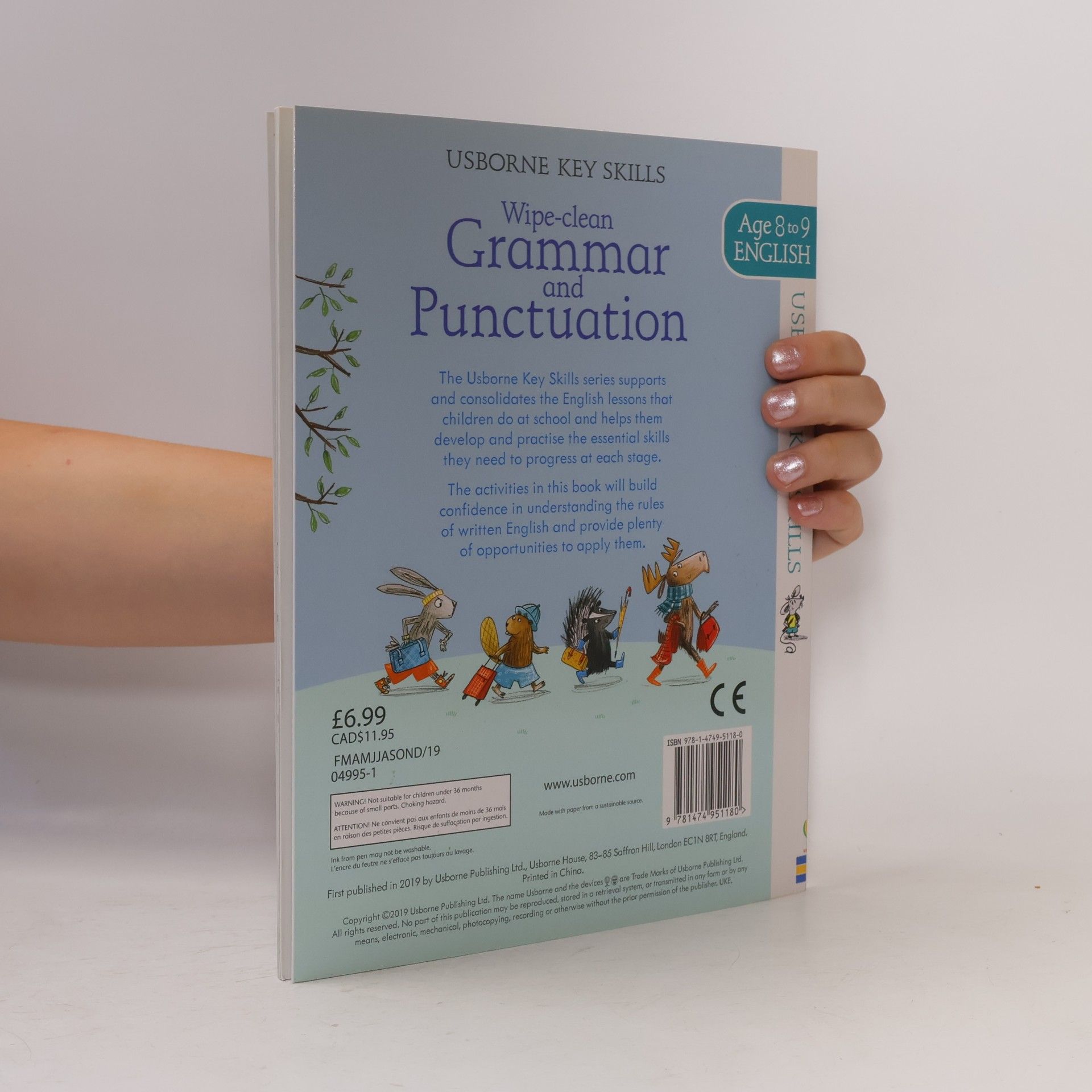 Jane Bingham Wipe-Clean Grammar and Punctuation