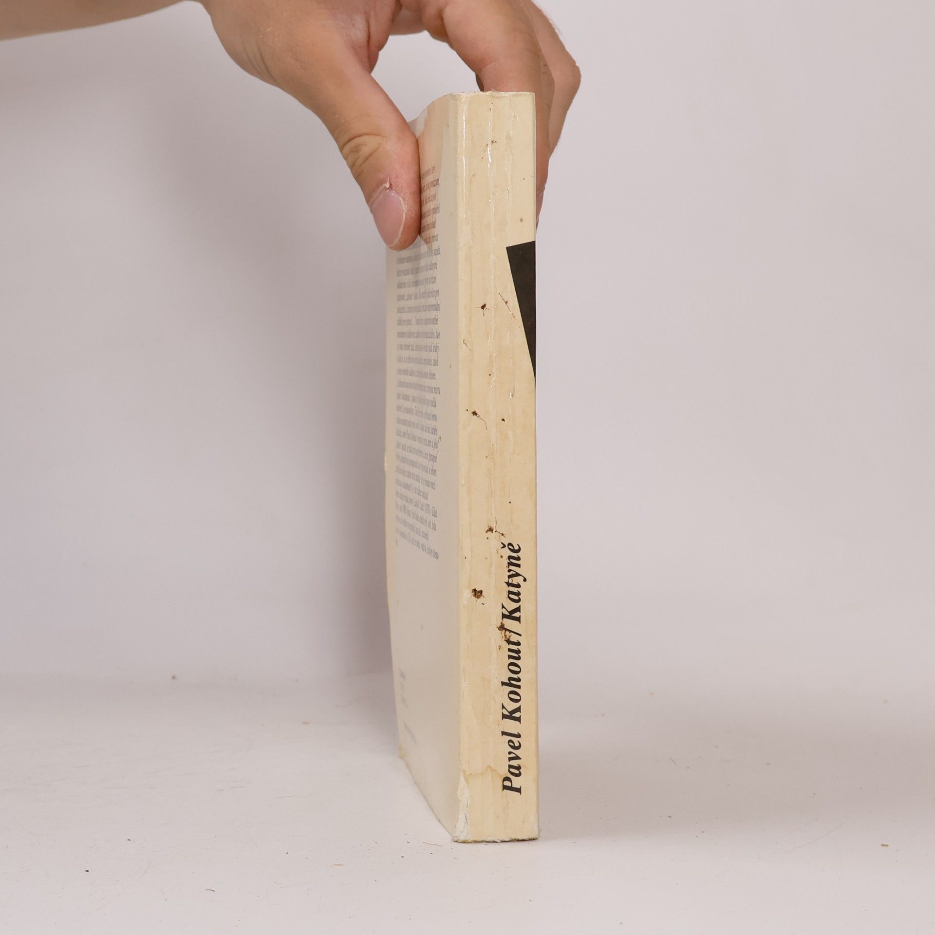 Pavel Kohout Katyně