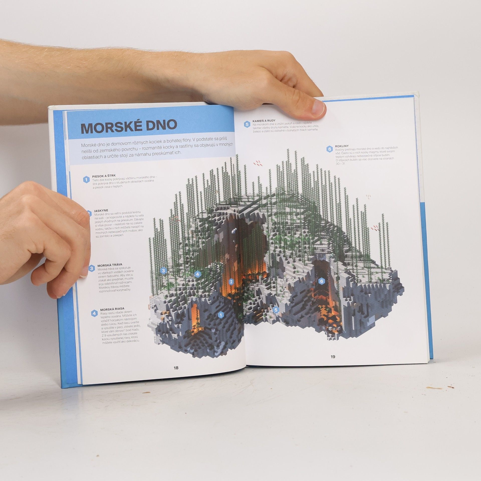Autorenkollektiv Minecraft: Sprievodca prežitím v oceánoch
