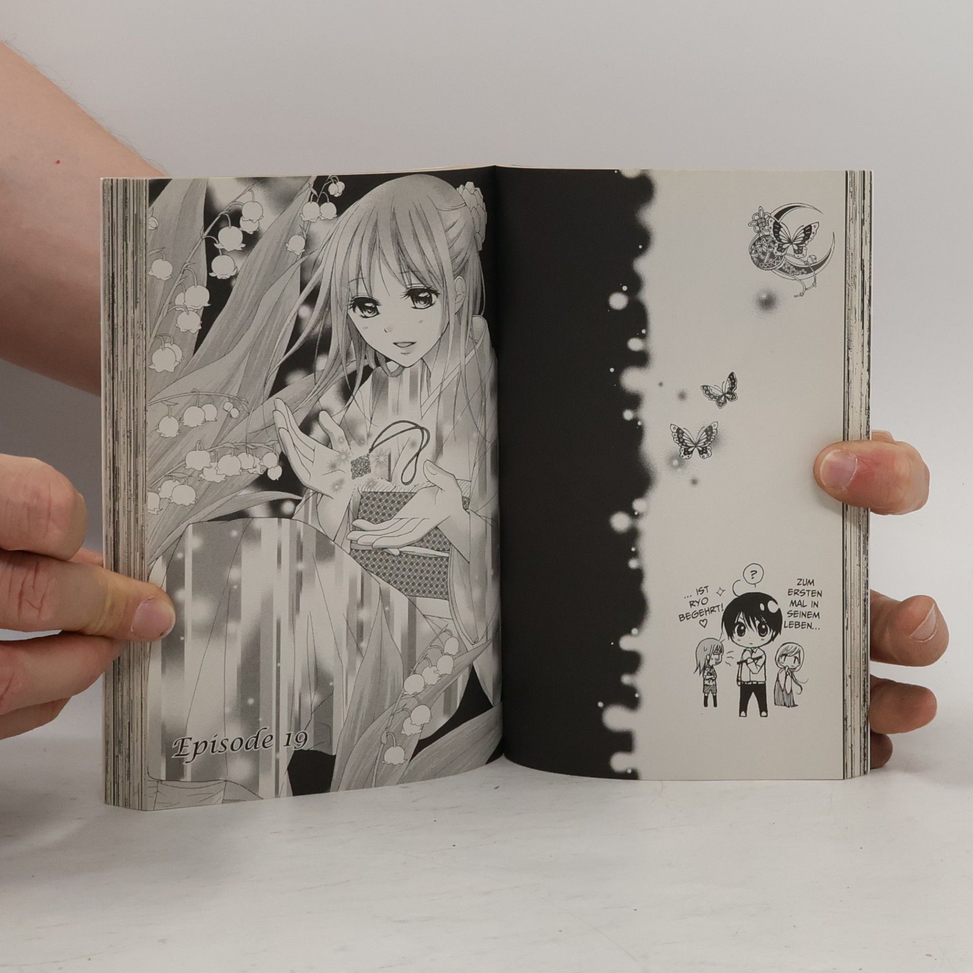 Kyoko Kumagai Der purpurne Fächer