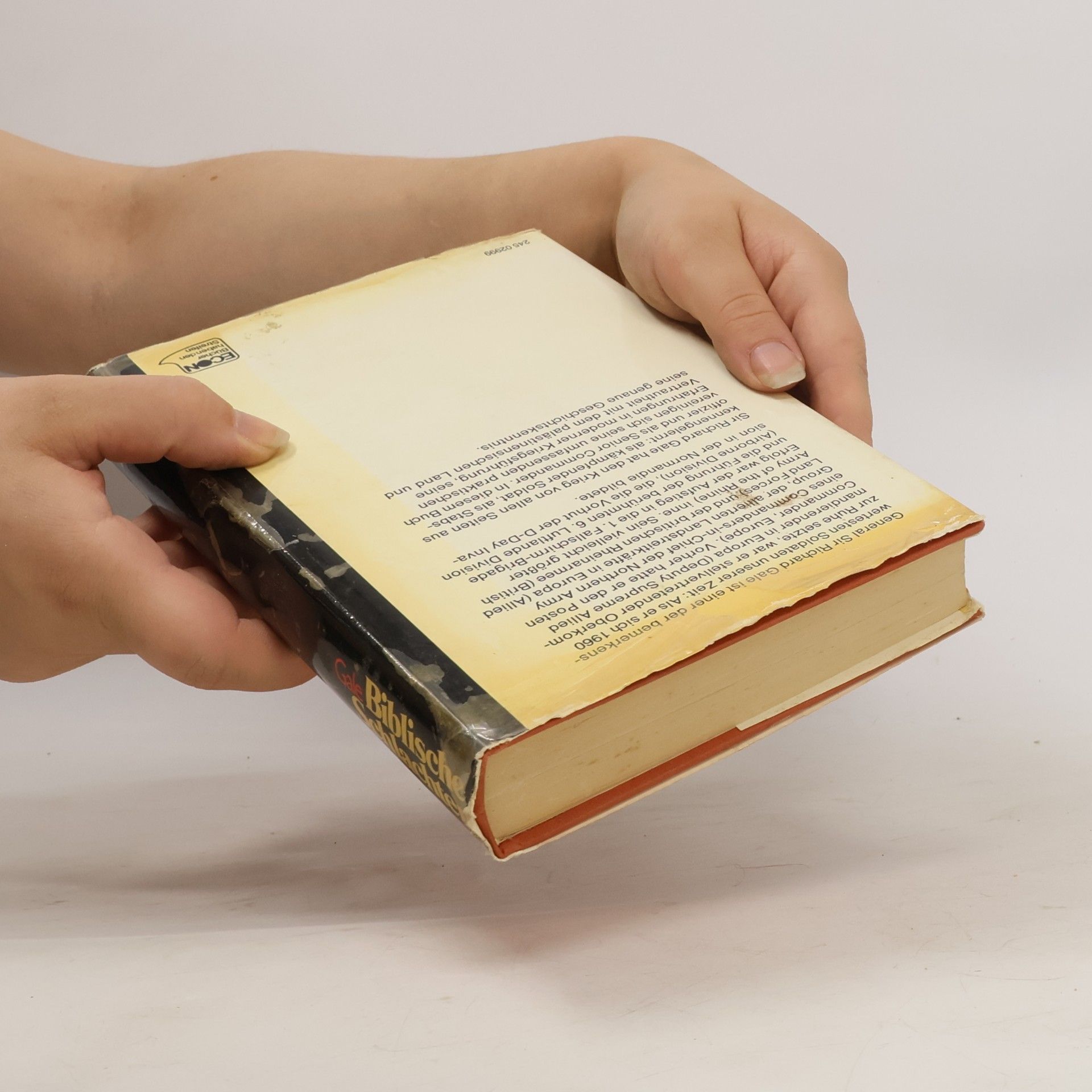 Richard Gale Biblische Schlachten