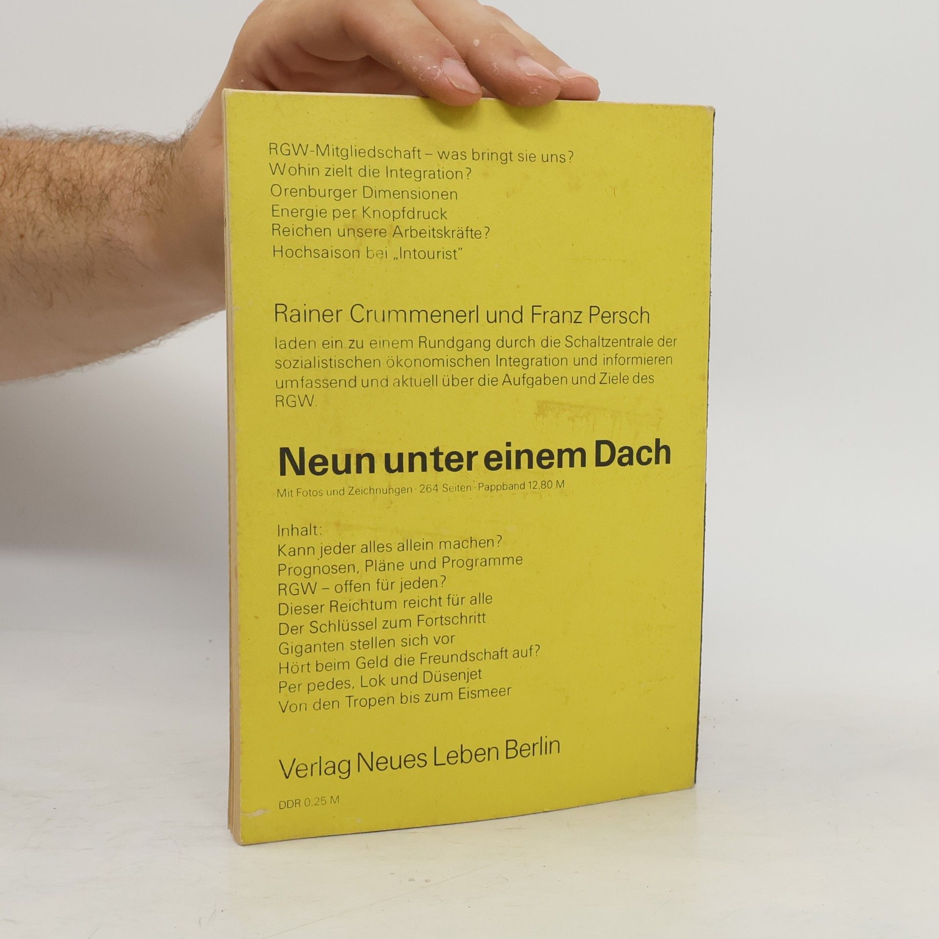 Mág Bertalan Eine halbe Million im Dornenbusch