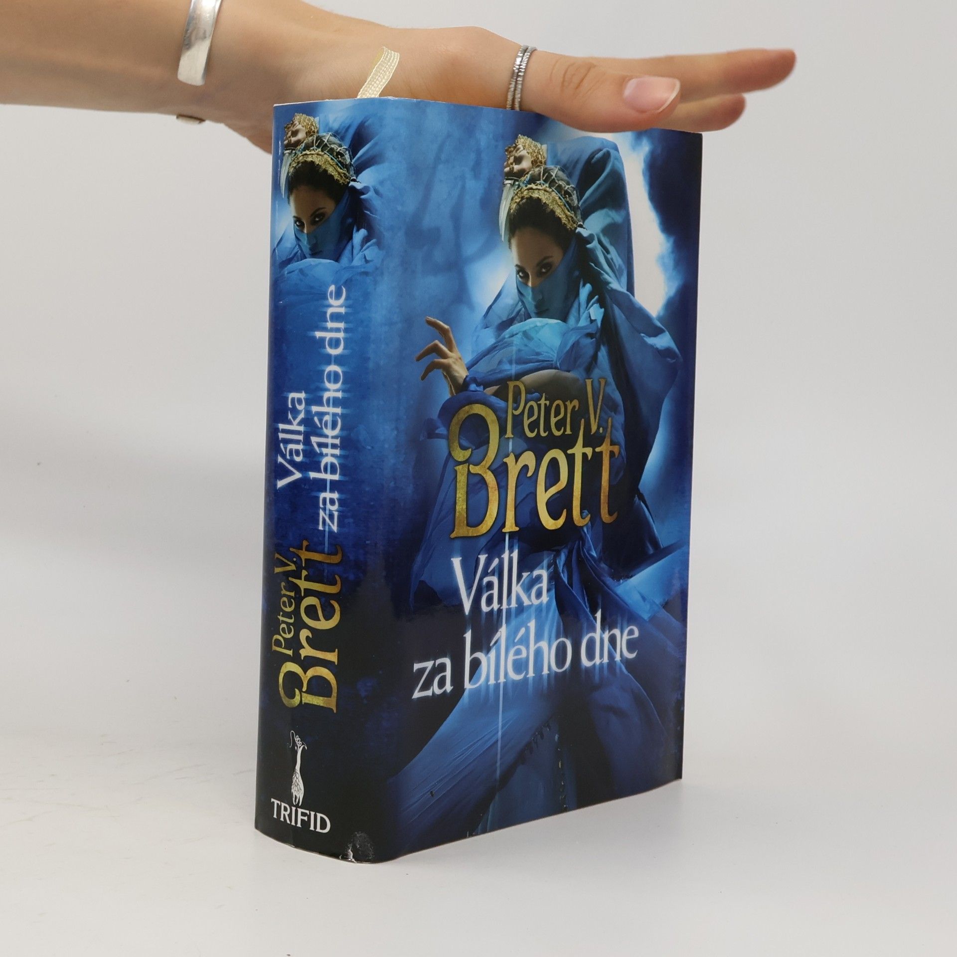 Peter V. Brett Válka za bílého dne
