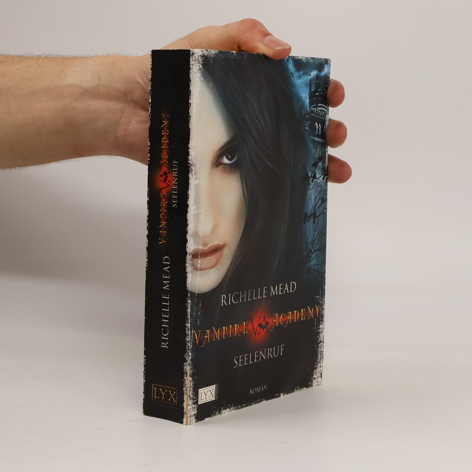 Richelle Mead Vampire Academy. Seelenruf