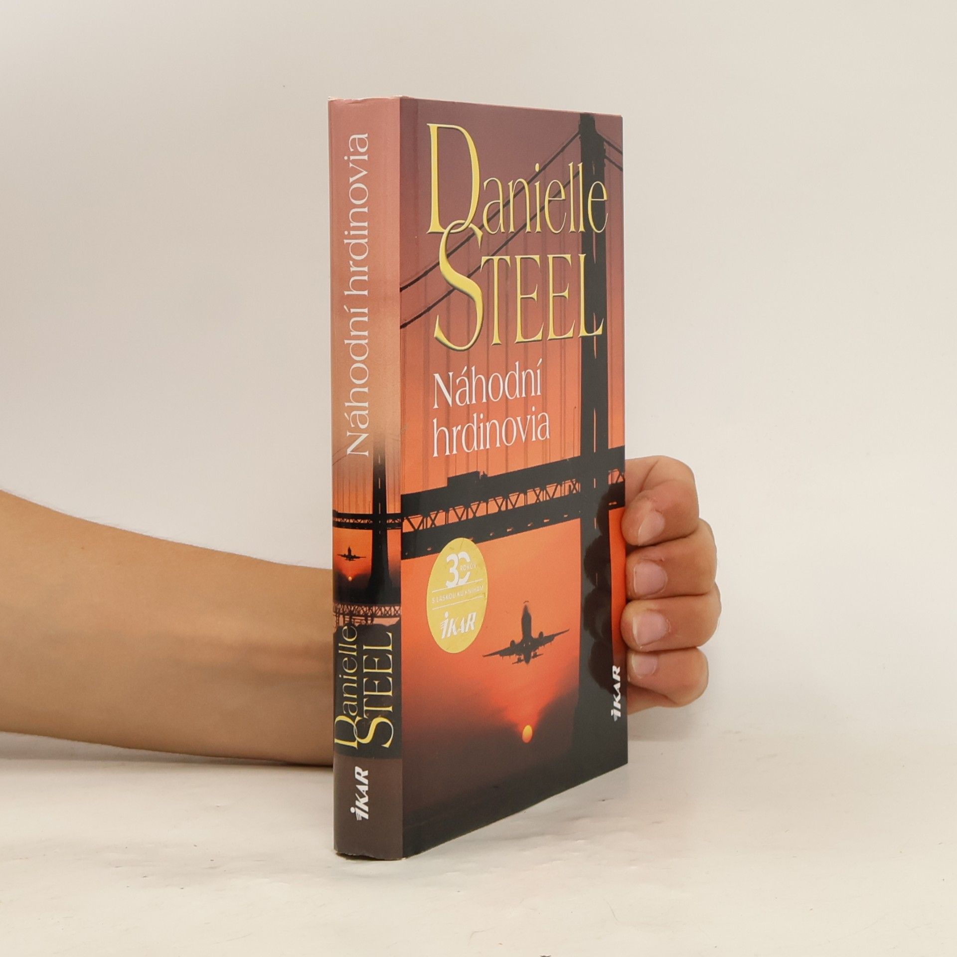 Danielle Steel Náhodní hrdinovia