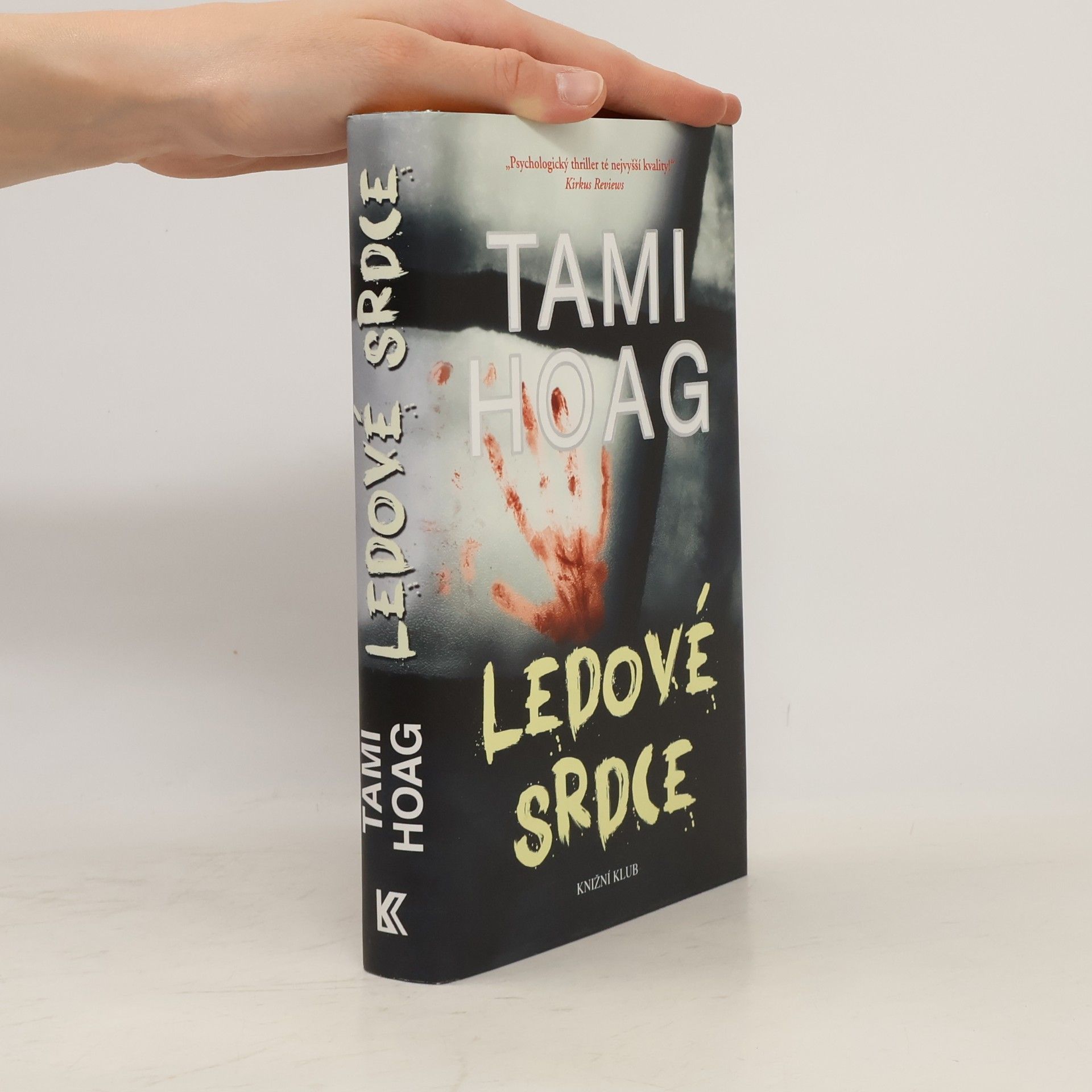 Tami Hoag Ledové srdce