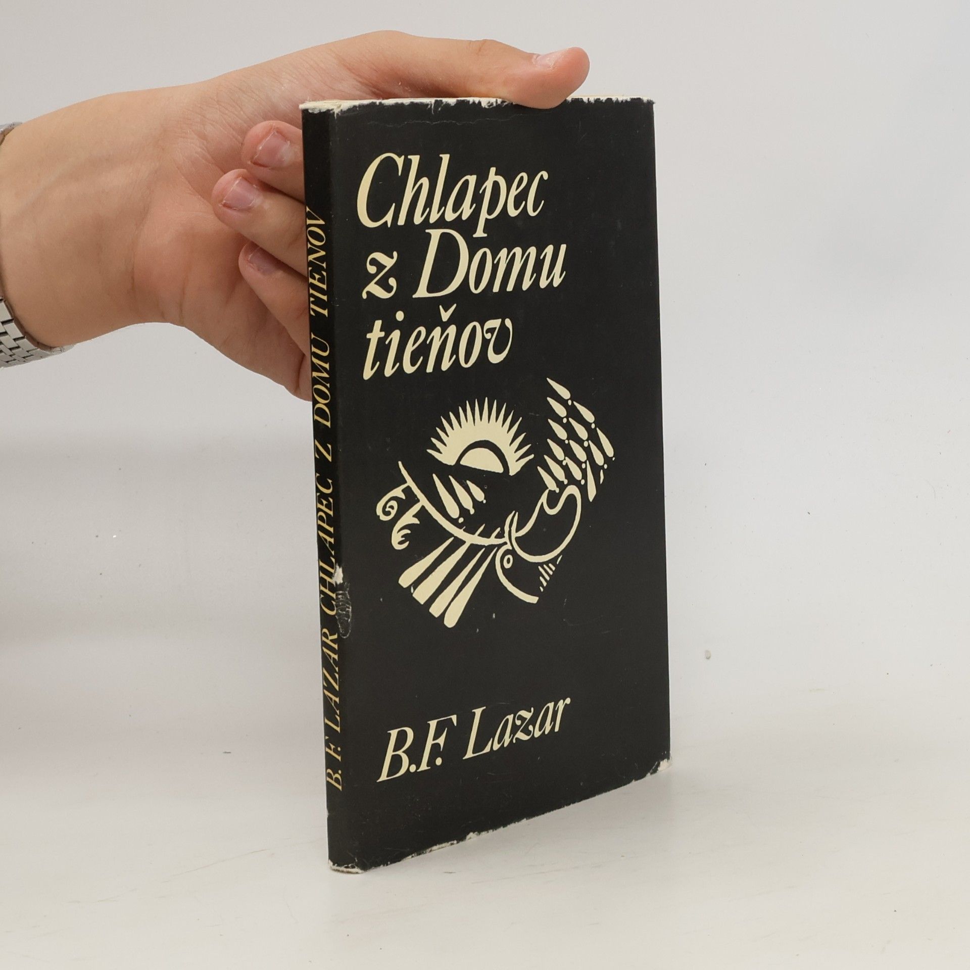 B.F. Lazar Chlapec z domu tieňov