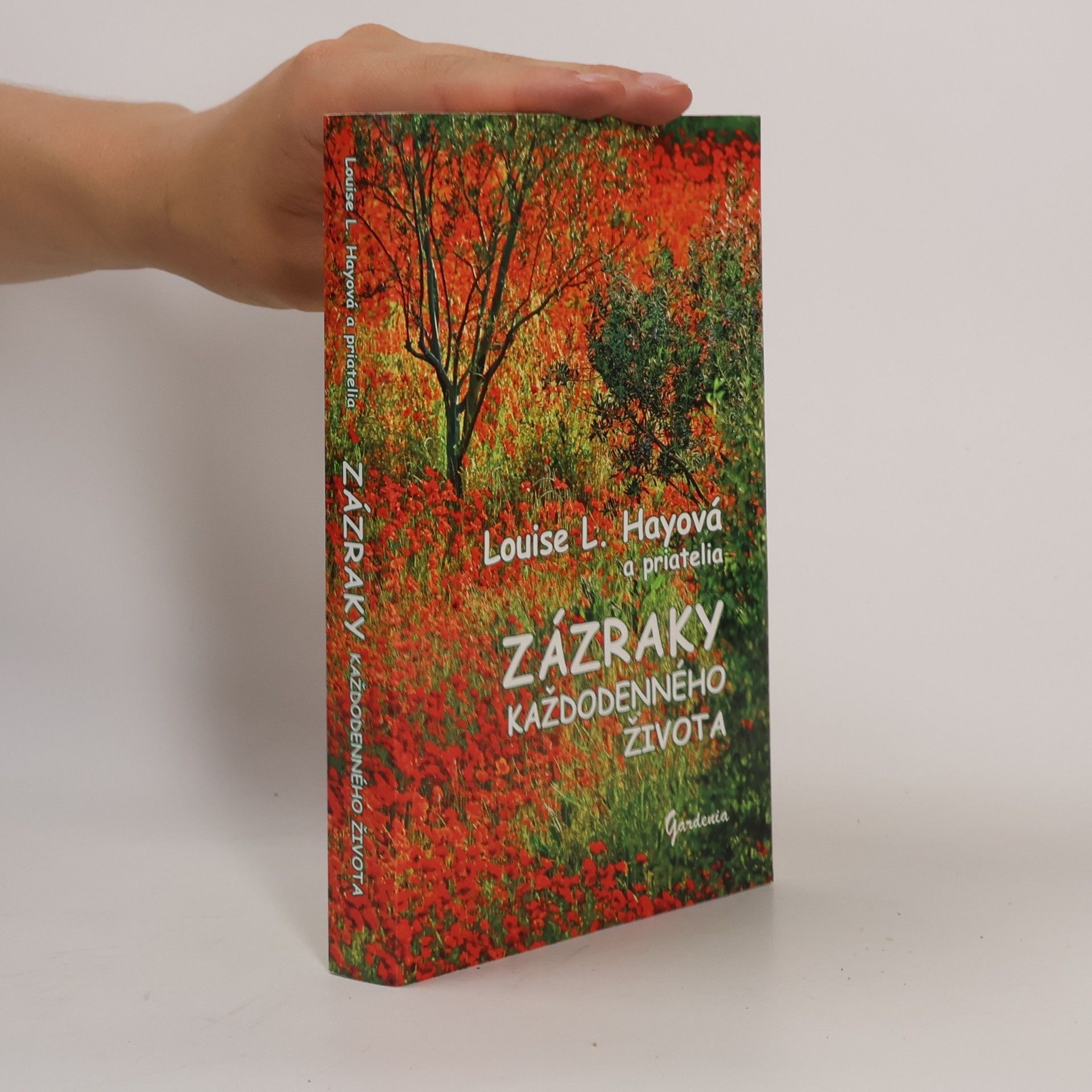 Louise Lynn Hay Zázraky každodenného života