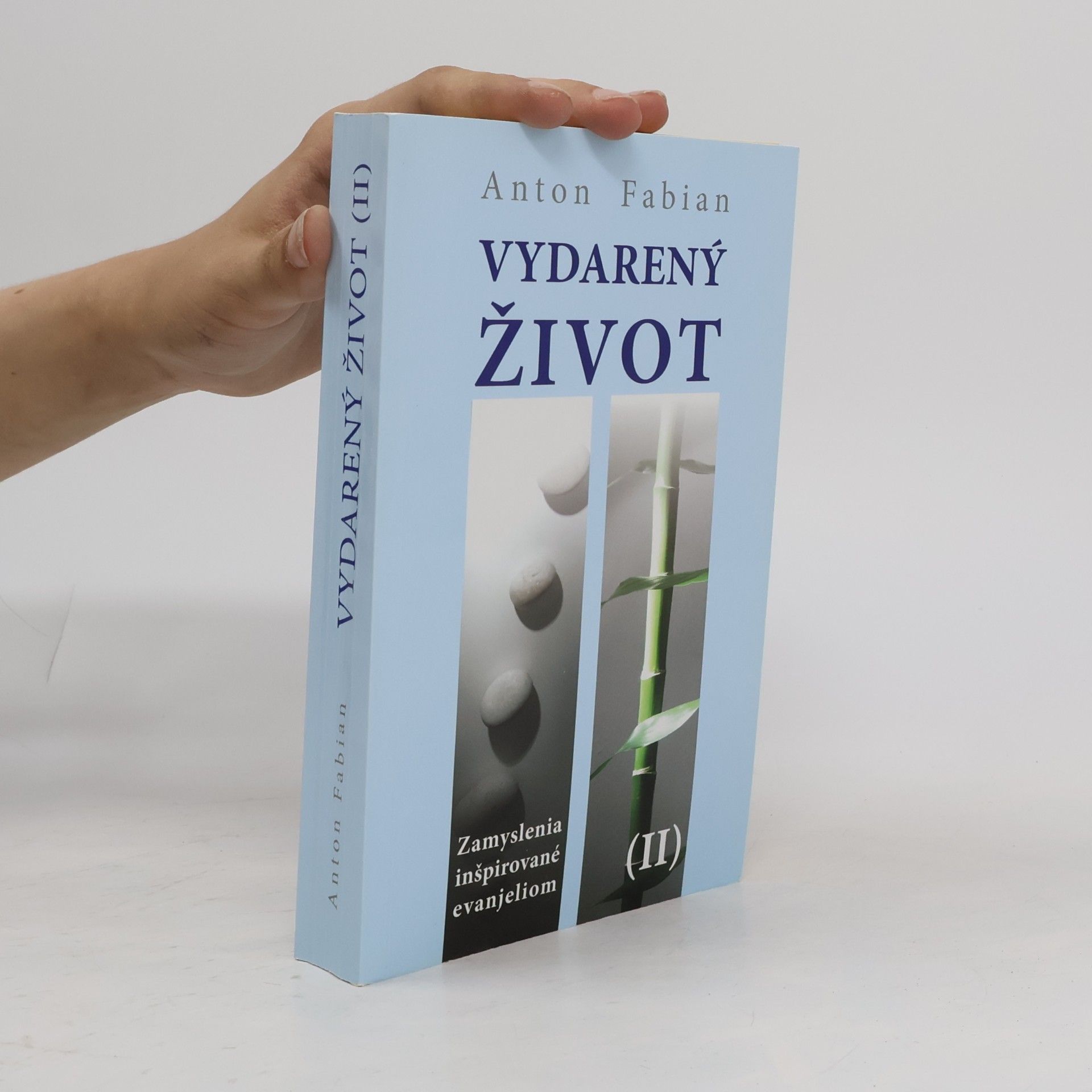 Anton Fabian Vydarený život II. : zamyslenia inšpirované evanjeliom