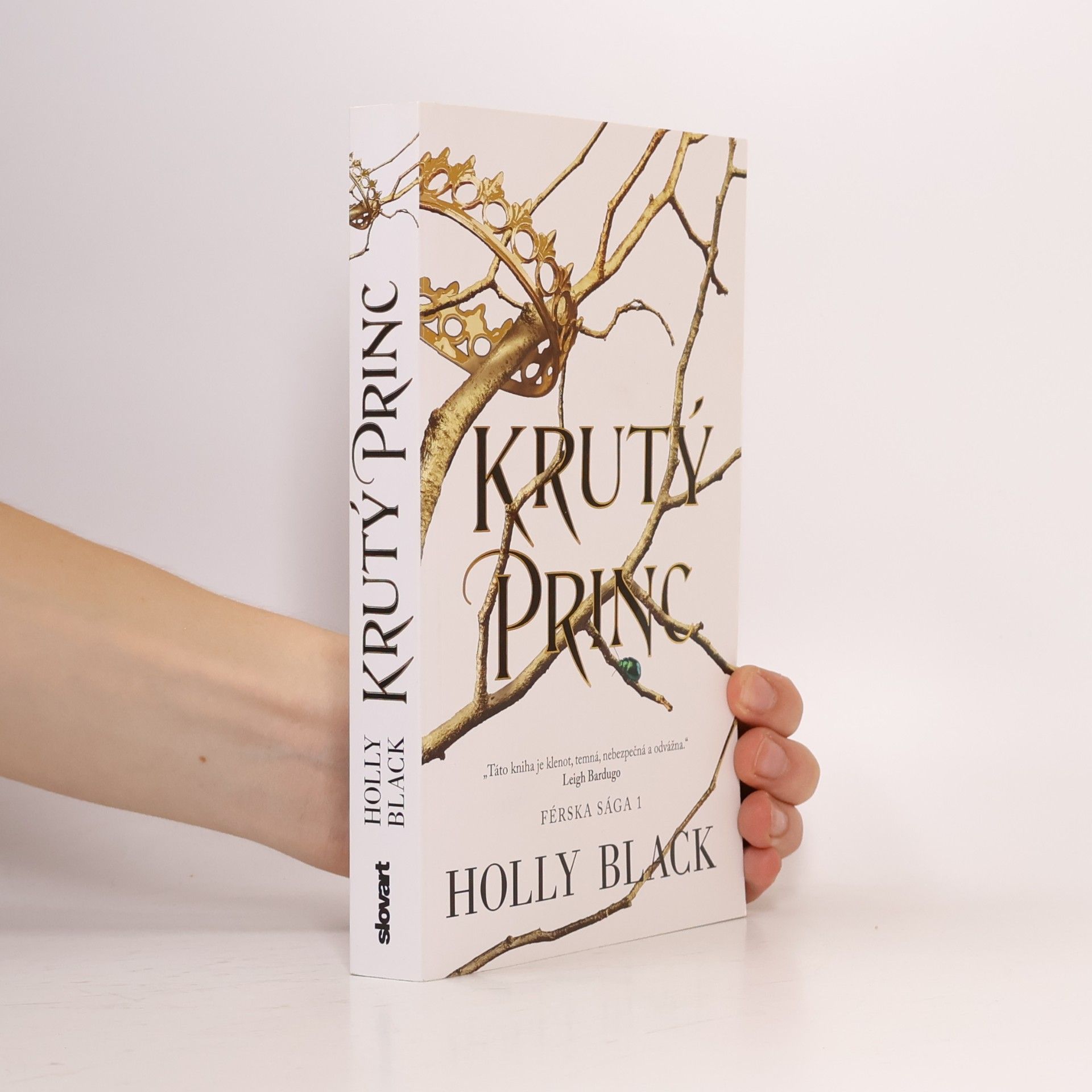 Holly Black Krutý princ