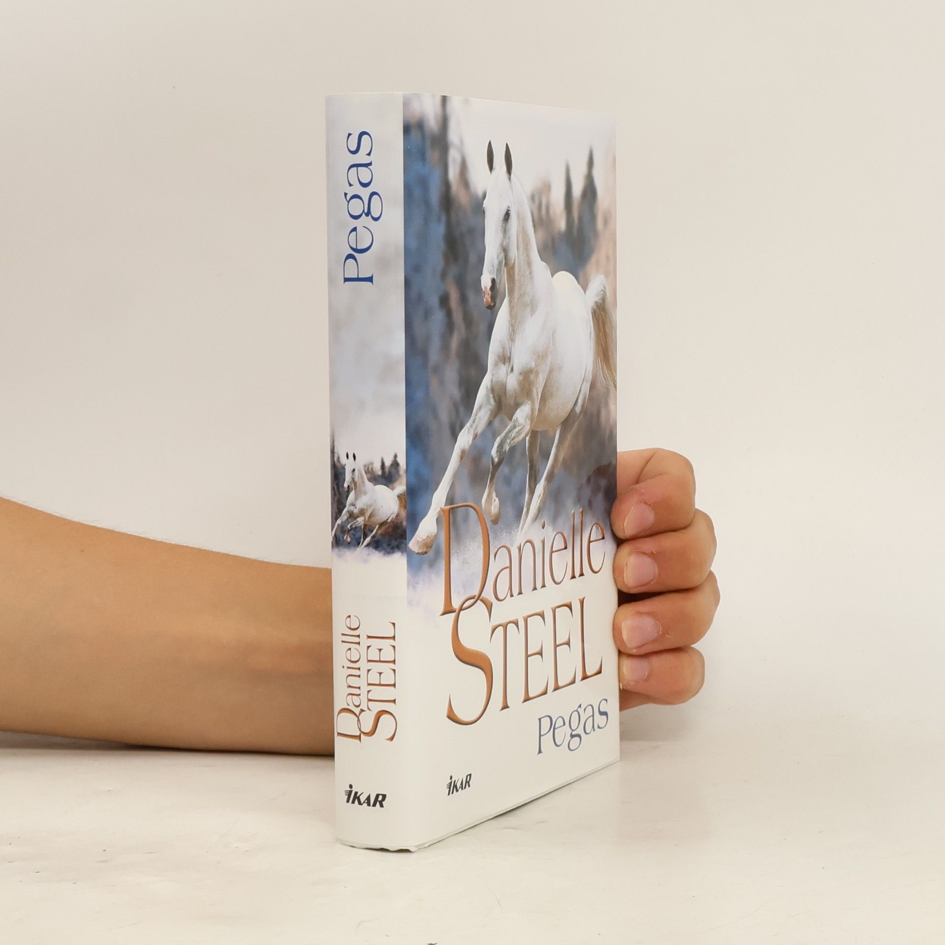 Danielle Steel Pegas