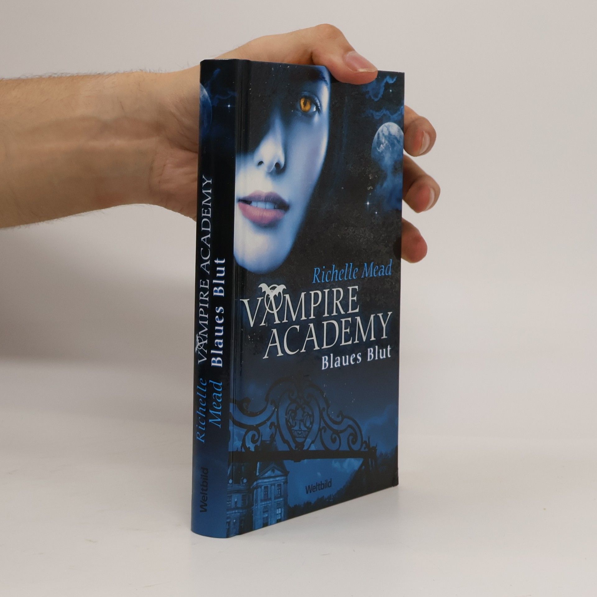 Richelle Mead Vampire Academy. Blaues Blut