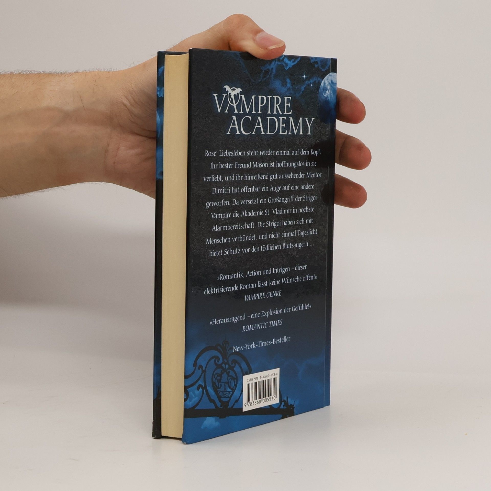 Richelle Mead Vampire Academy. Blaues Blut
