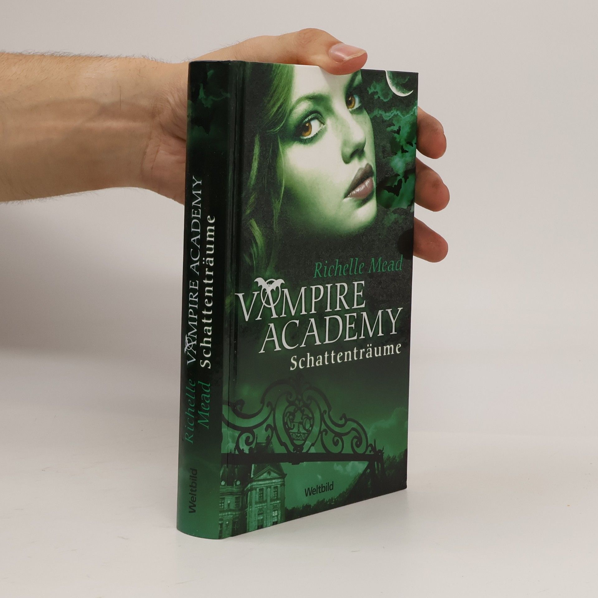 Richelle Mead Vampire Academy. Schattenträume