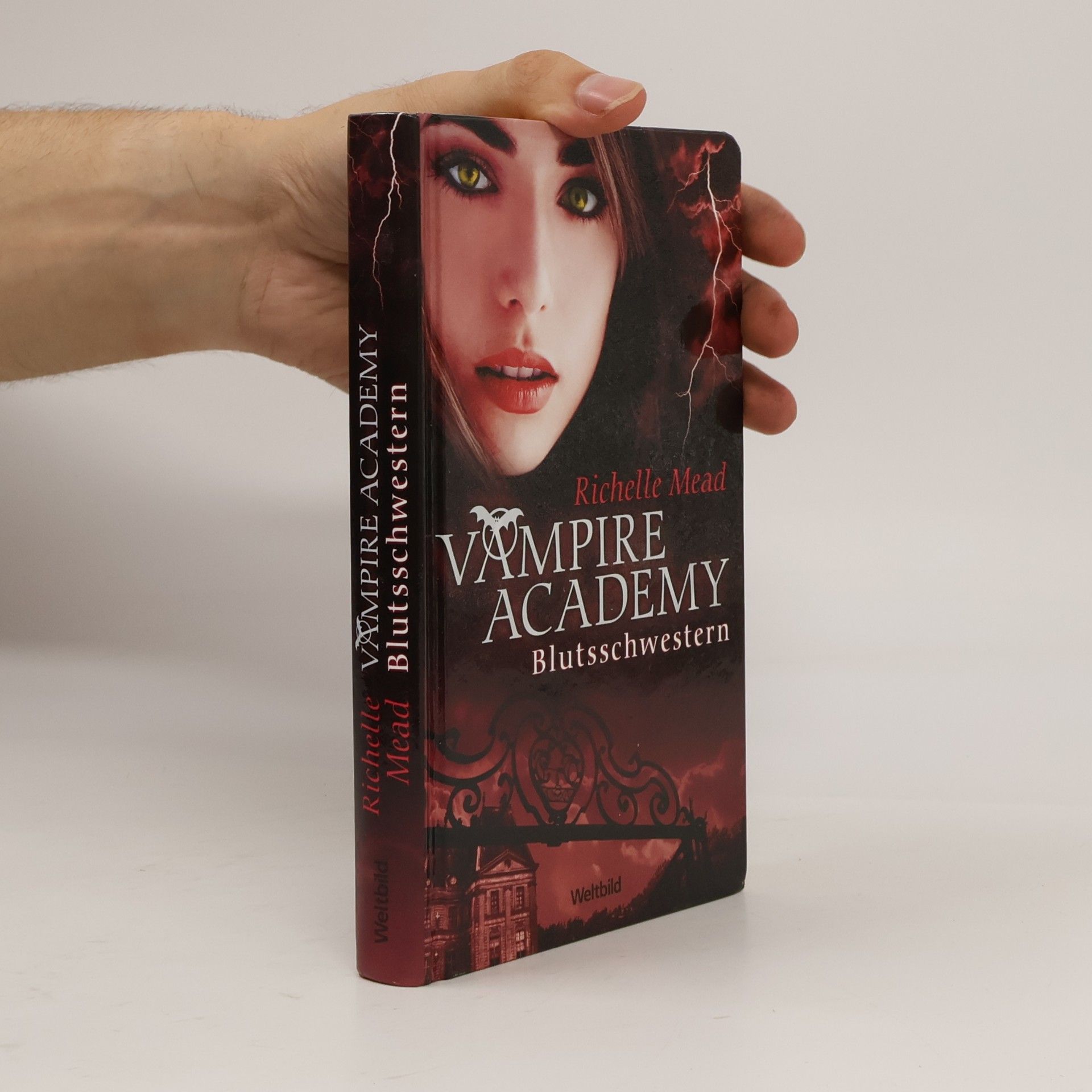 Richelle Mead Vampire Academy. Blutsschwestern